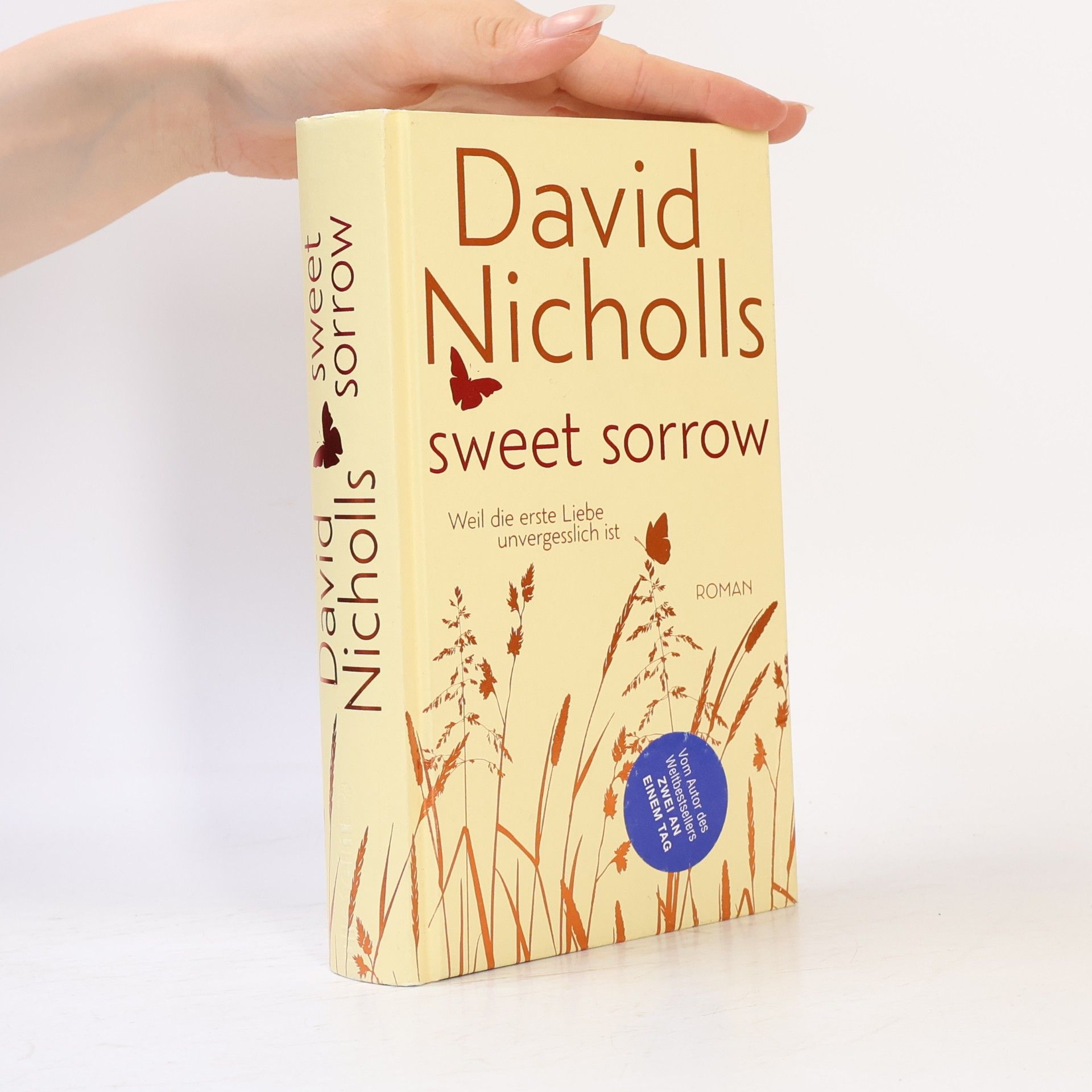 David Nicholls Sweet Sorrow