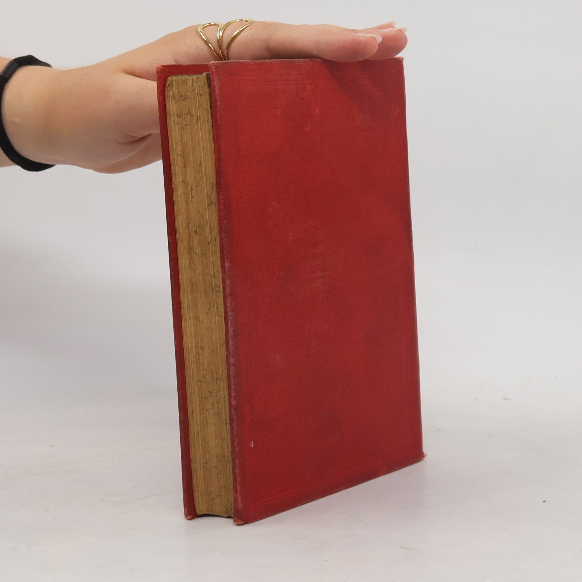 Mark Twain Skizzenbuch