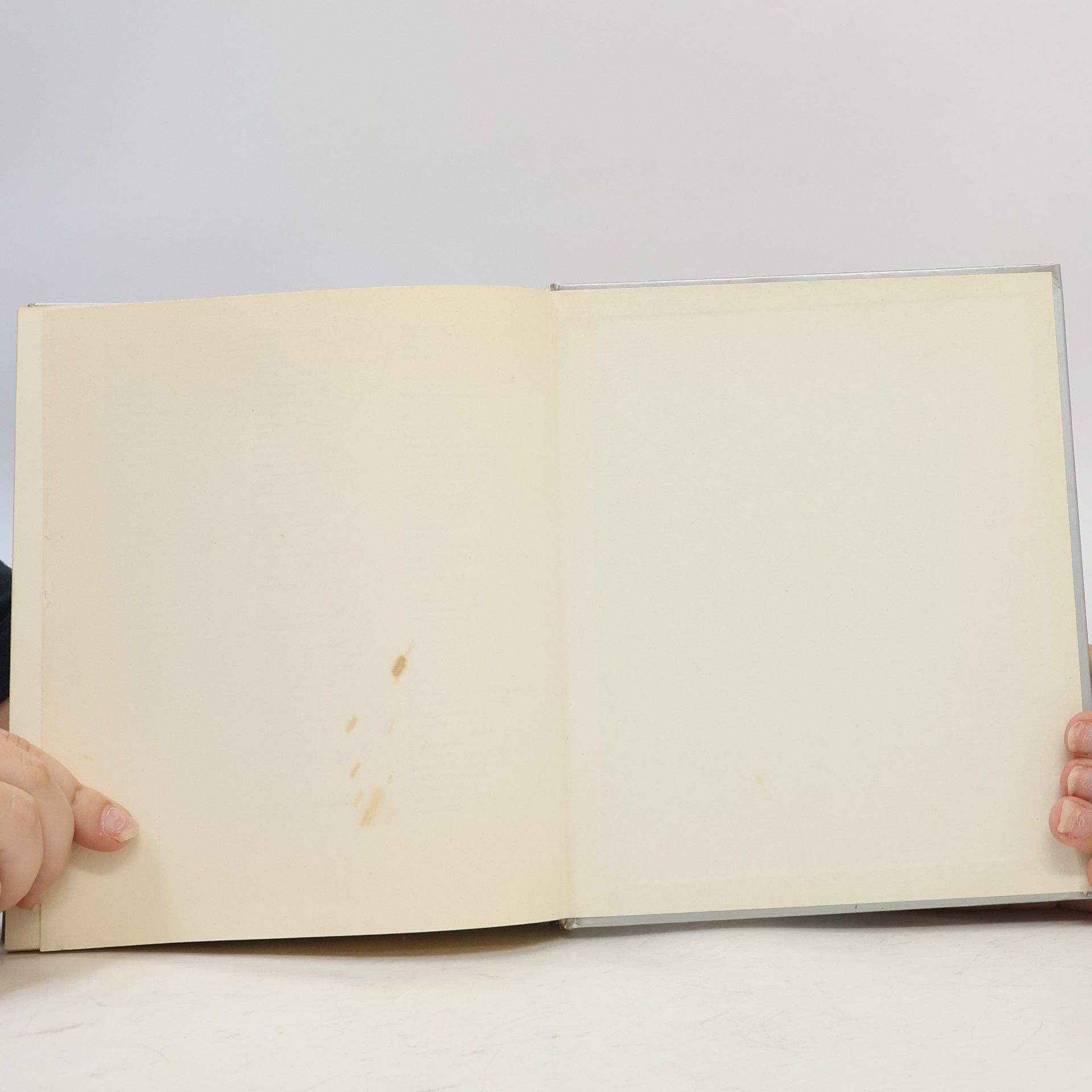 Ursula Borchert Brigitte-Tiefkühl-Kochbuch