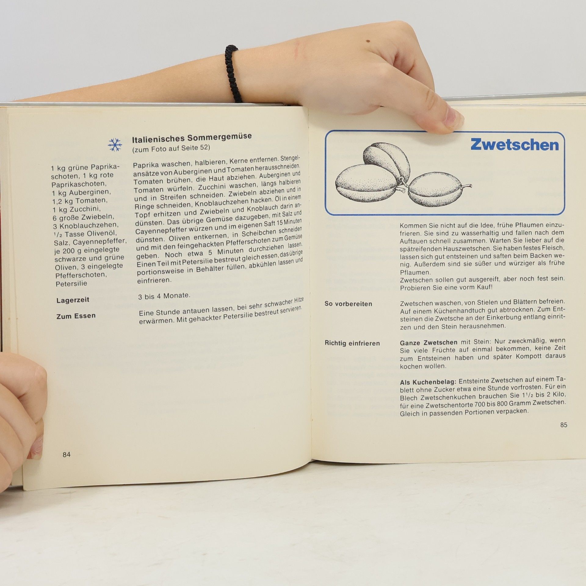 Ursula Borchert Brigitte-Tiefkühl-Kochbuch