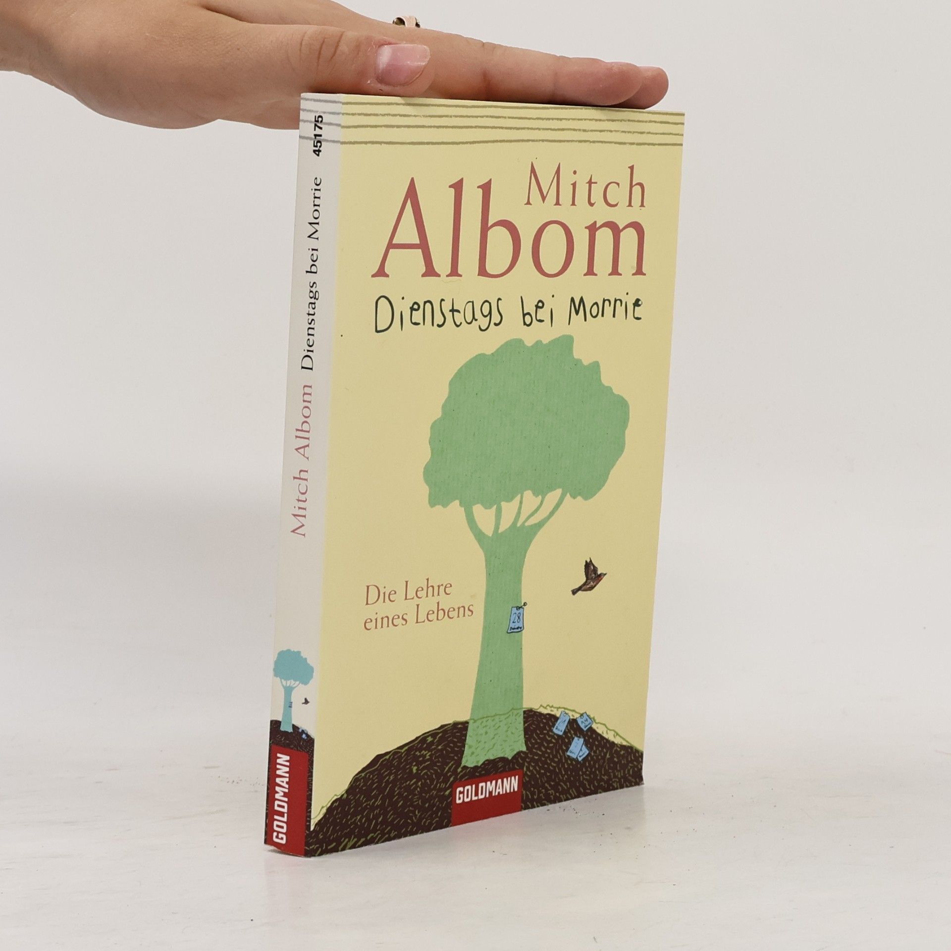 Mitch Albom Dienstags bei Morrie