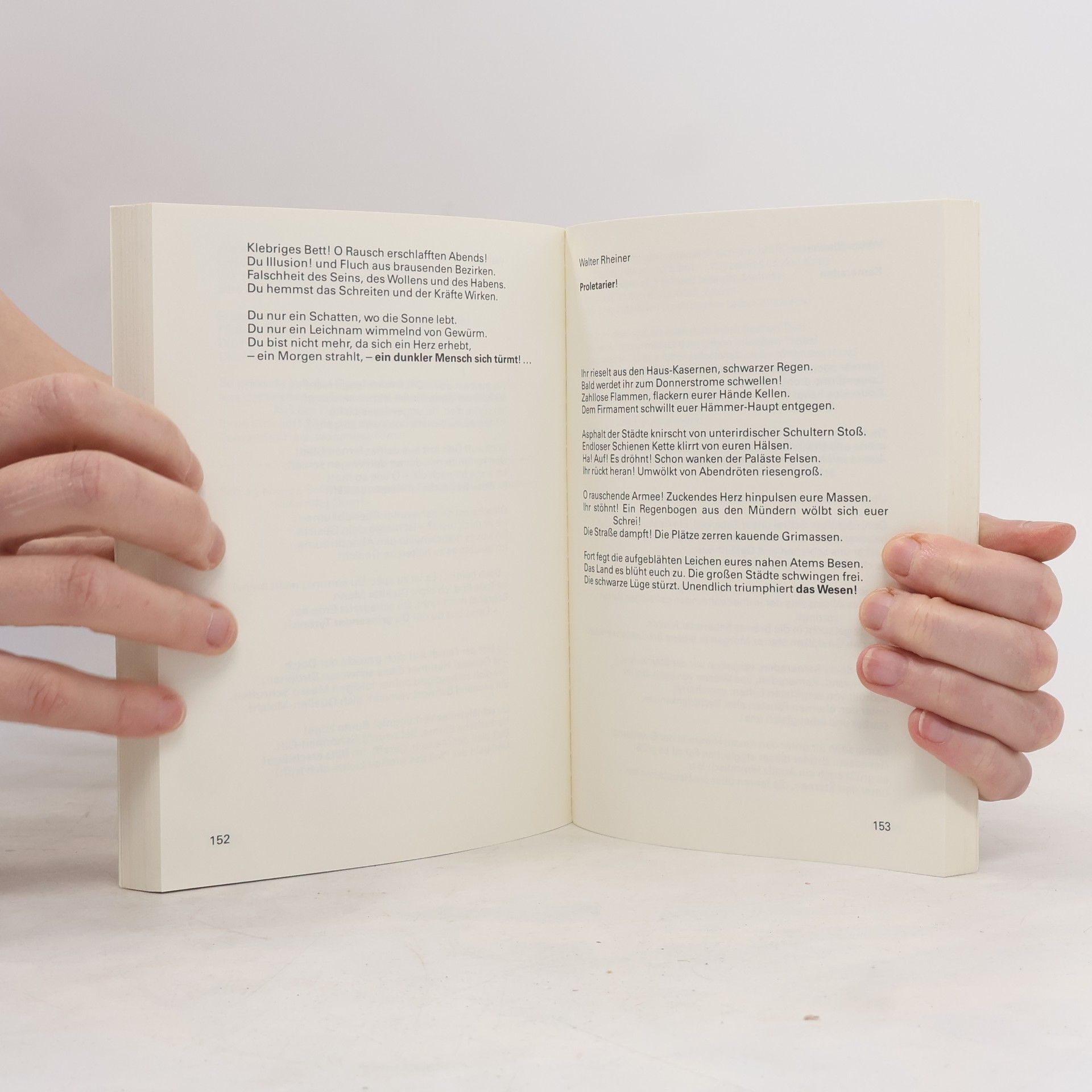 Peter Ludewig Arche-Editionen des Expressionismus: Schrei in die Welt