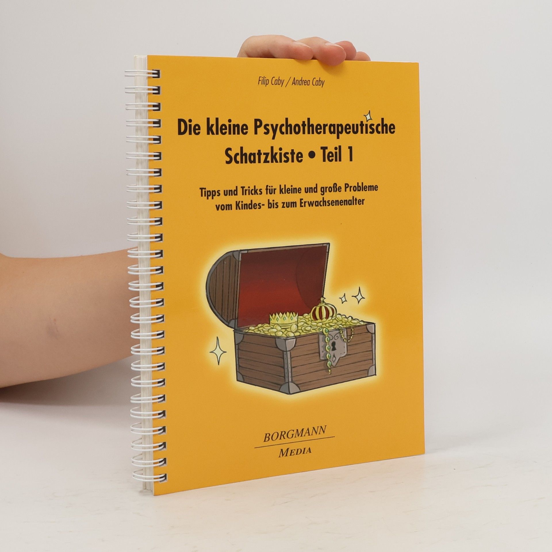 Die kleine psychotherapeutische Schatzkiste