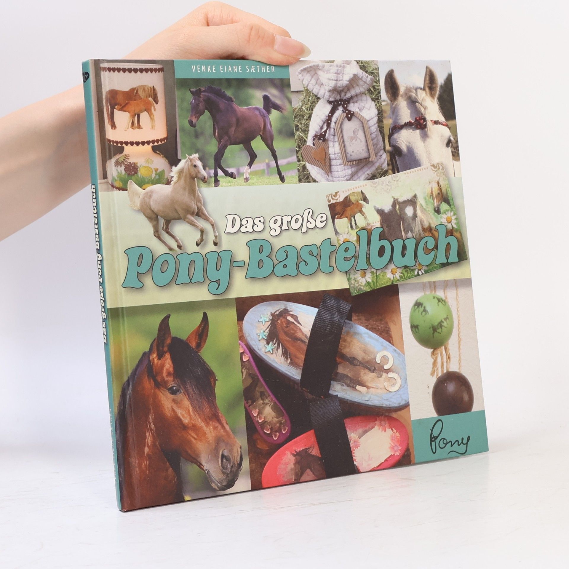 Autorenkollektiv Das große Pony-Bastelbuch