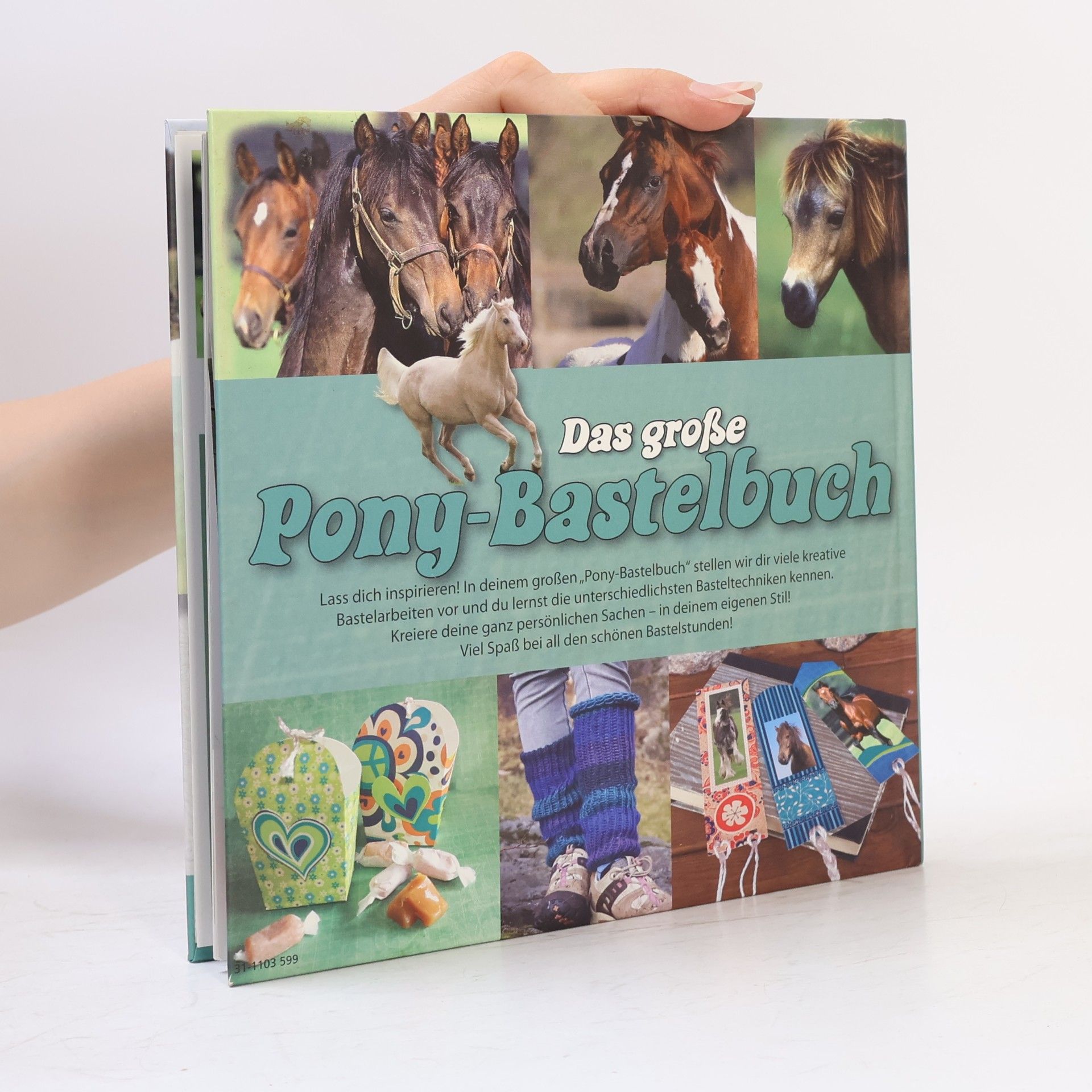 Autorenkollektiv Das große Pony-Bastelbuch
