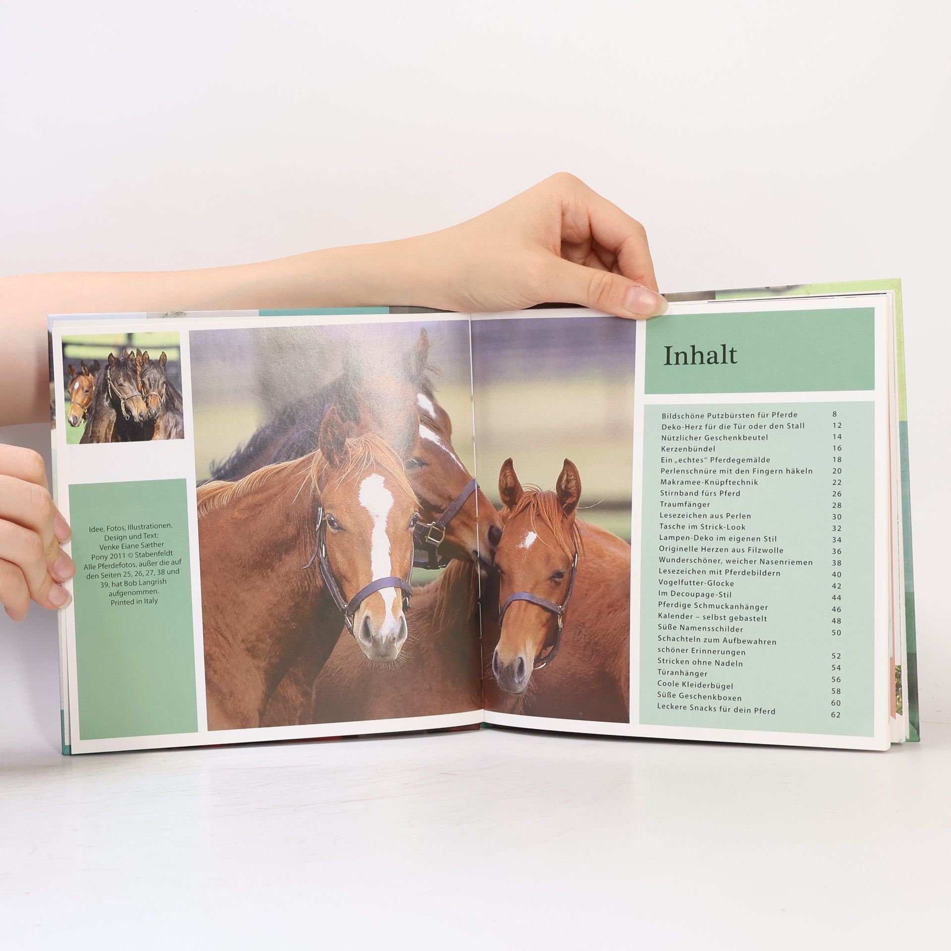 Autorenkollektiv Das große Pony-Bastelbuch