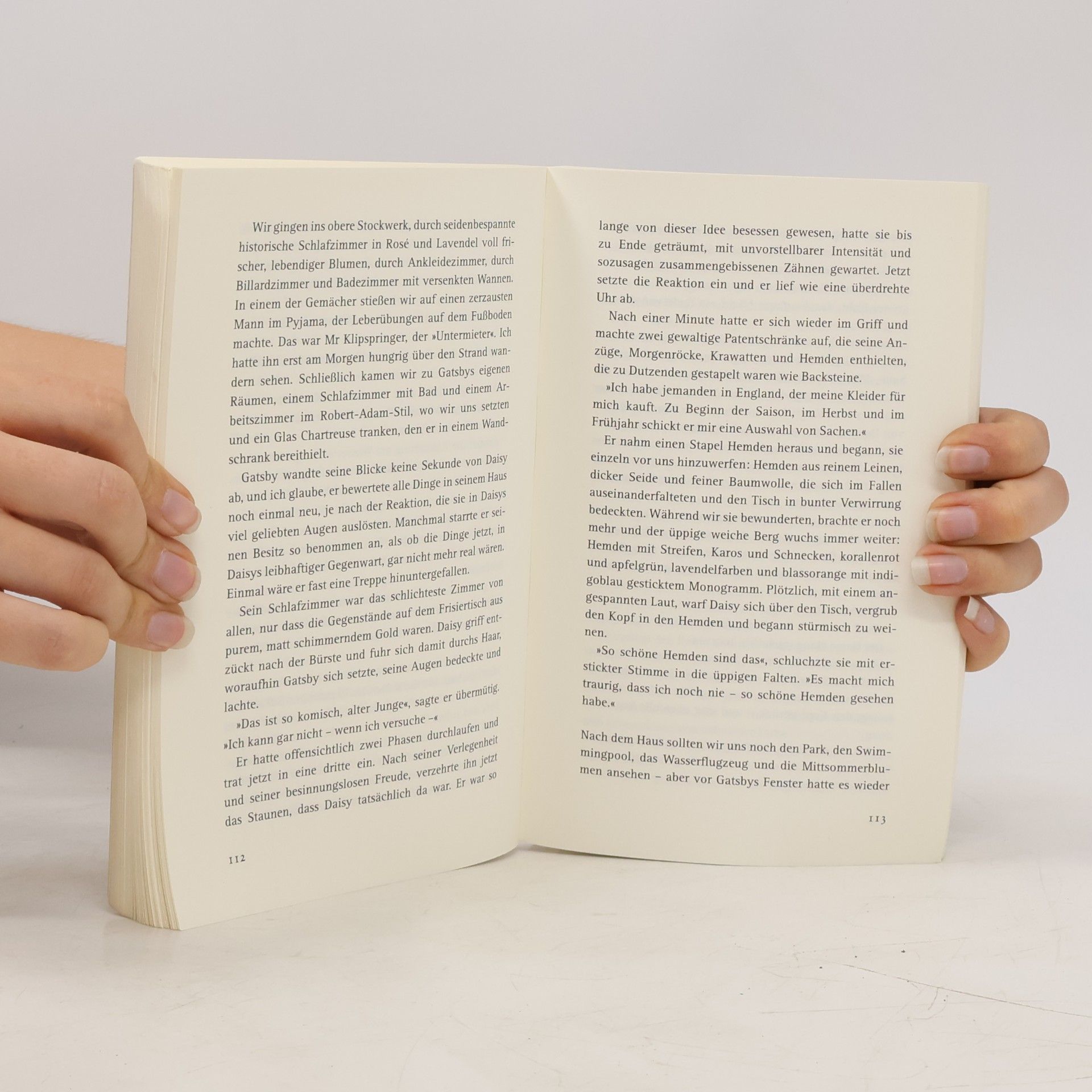 Francis Scott Fitzgerald Der große Gatsby : Roman