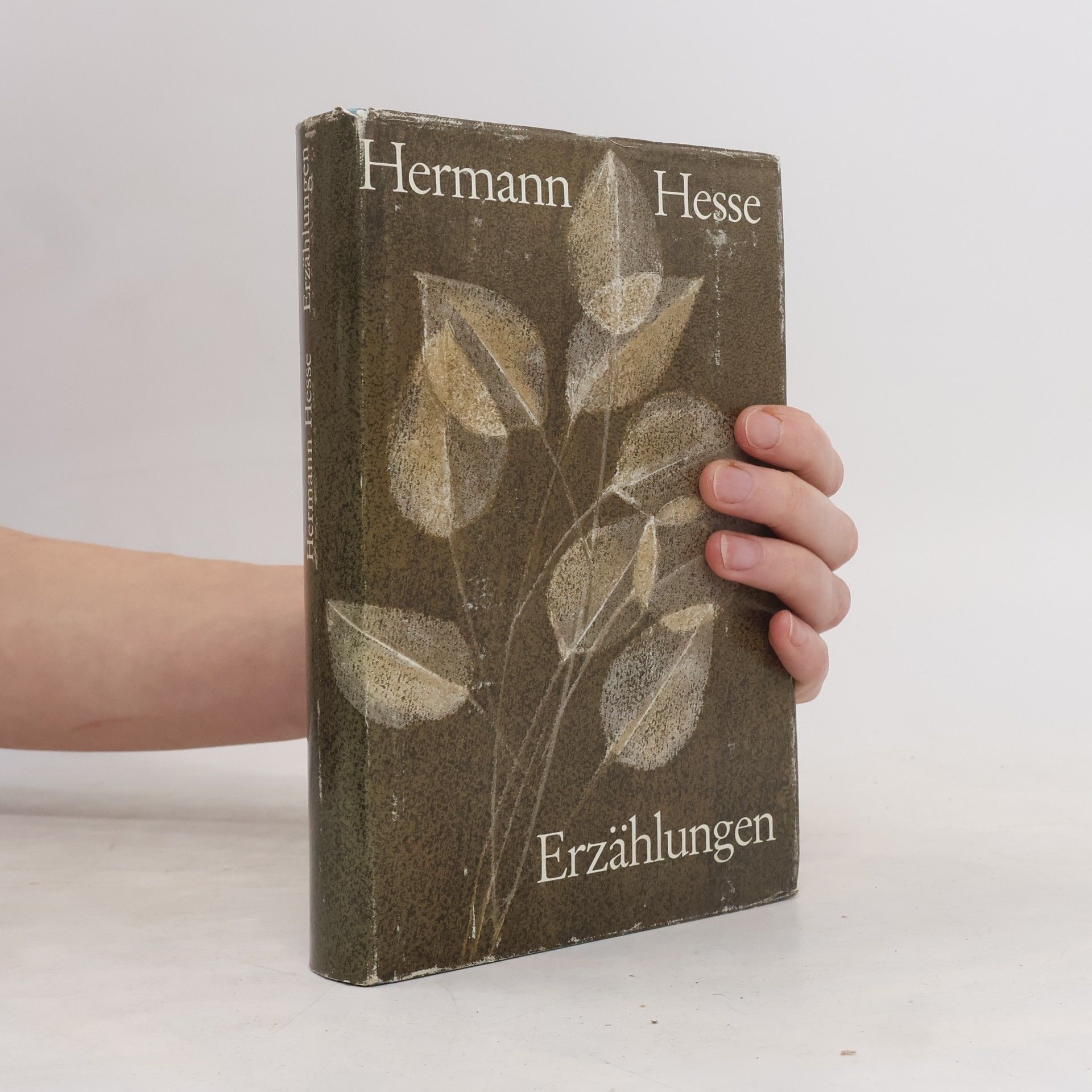 Hermann Hesse Erzählungen