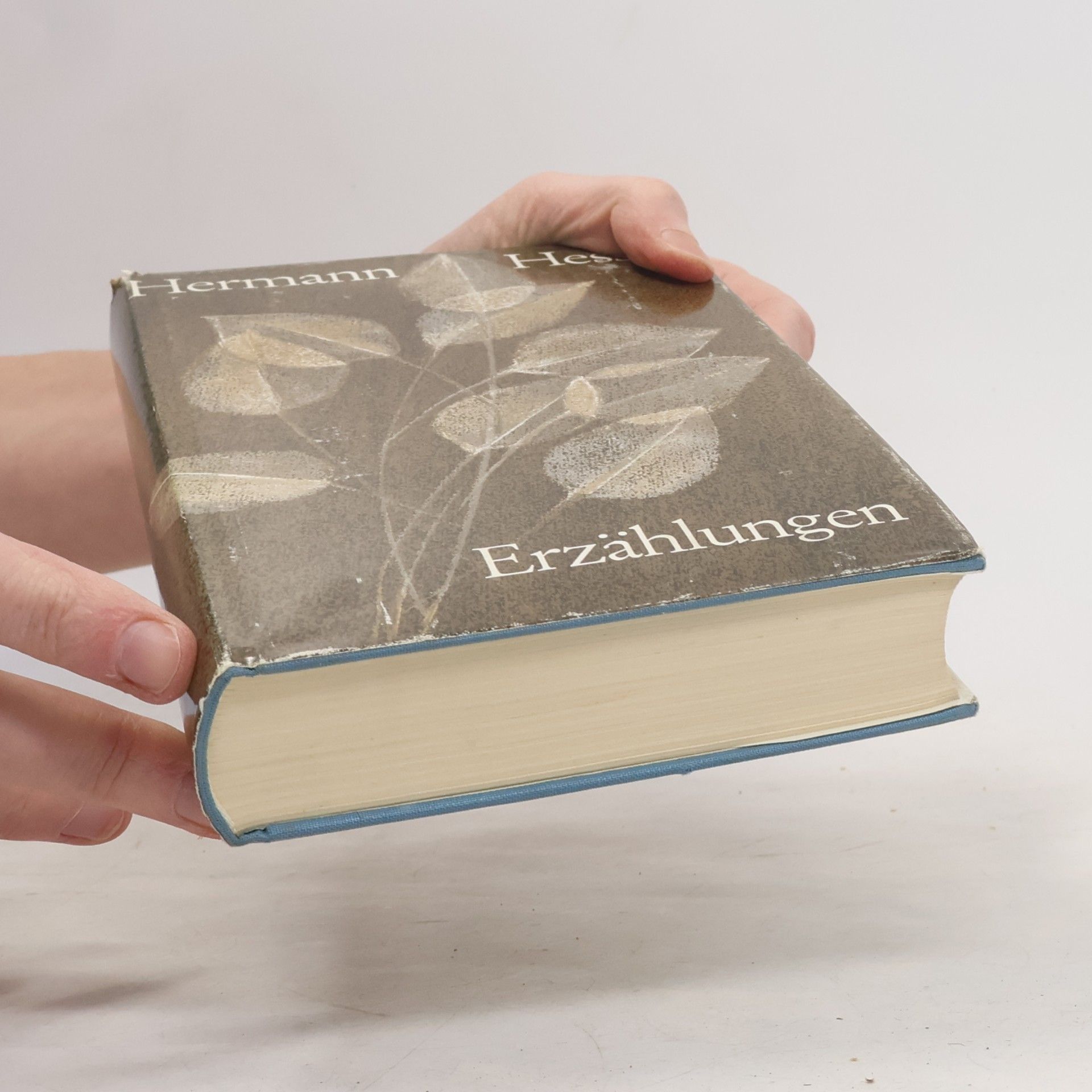 Hermann Hesse Erzählungen
