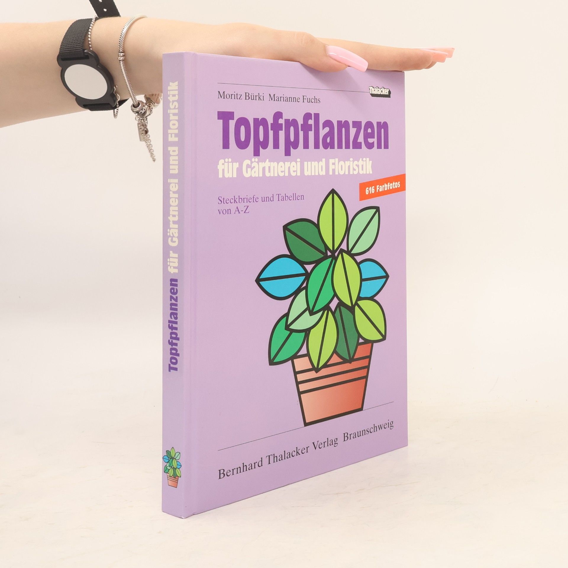 Moritz Bürki Topfpflanzen für Gärtnerei und Floristik