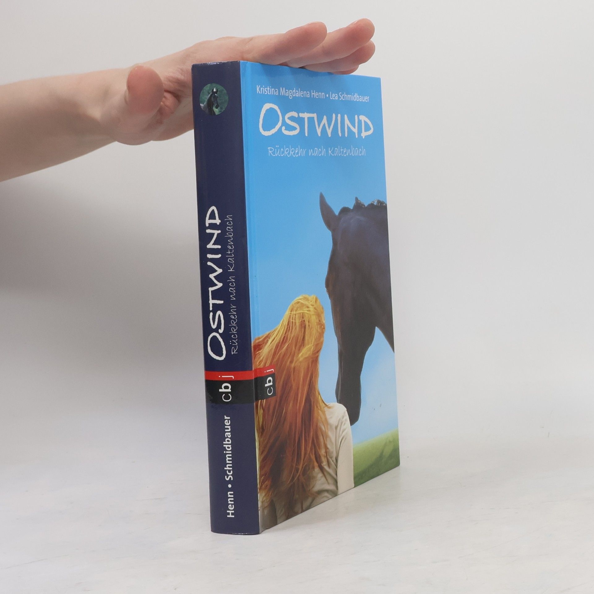 Ostwind - Rückkehr nach Kaltenbach