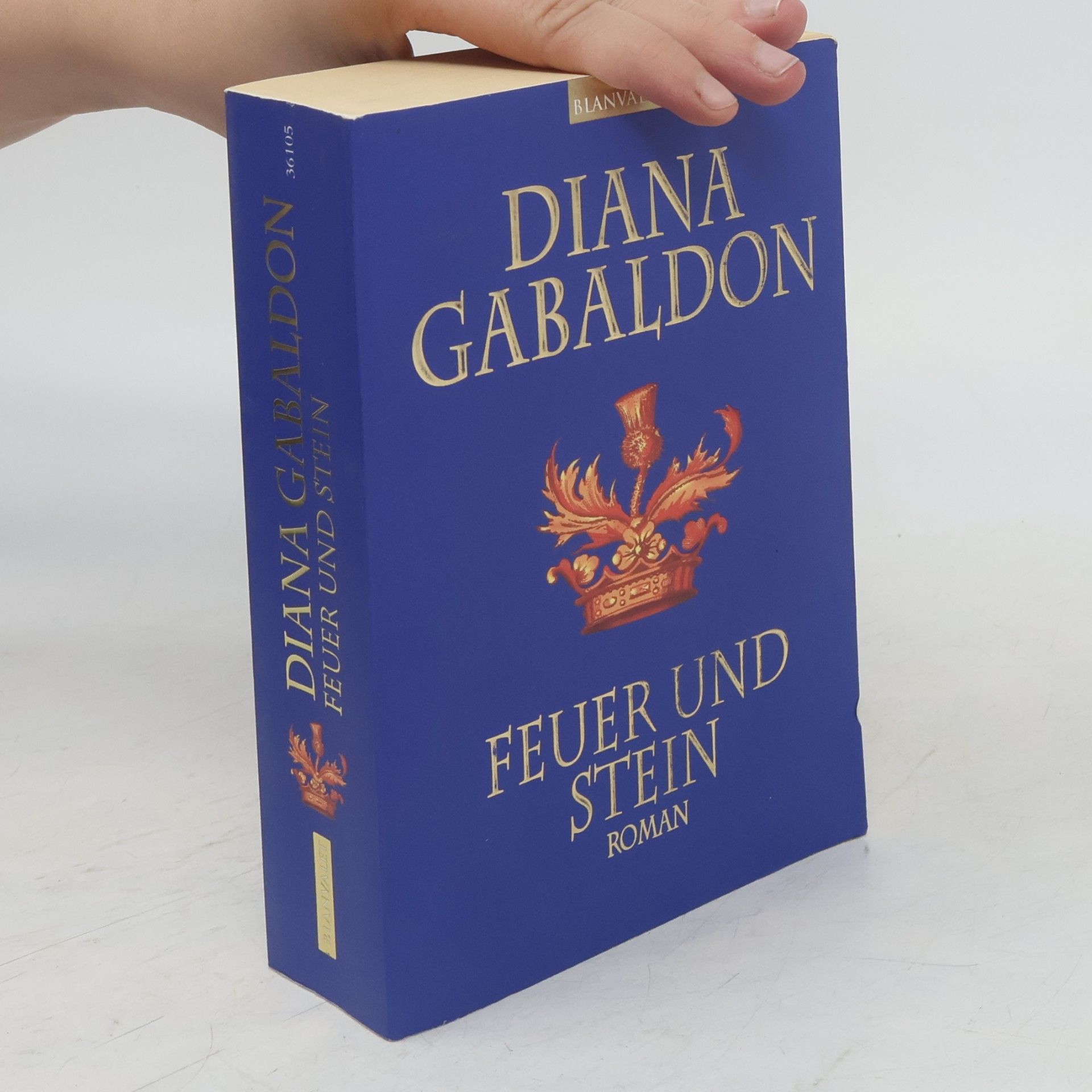 Diana Gabaldon Feuer und Stein