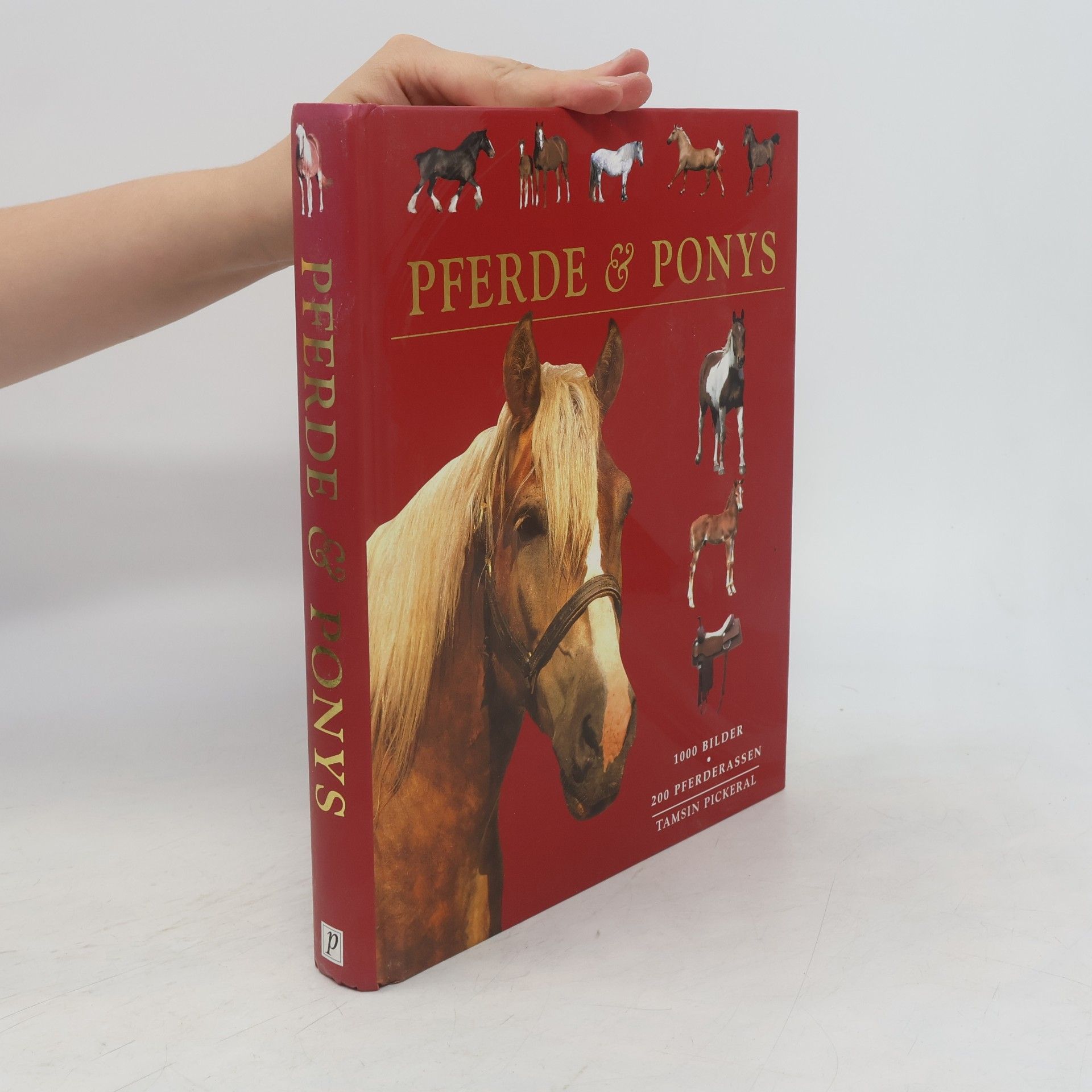 Tam Pickeral Pferde & Ponys