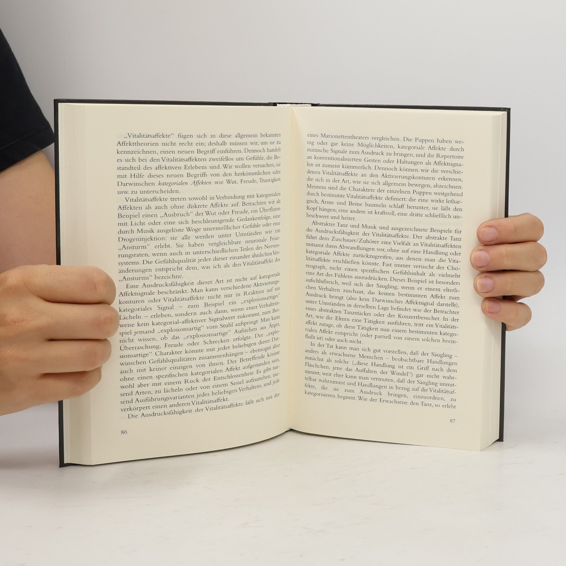 Daniel N. Stern Die Lebenserfahrung des Säuglings - Mit einer neuen Einleitung des Autors
