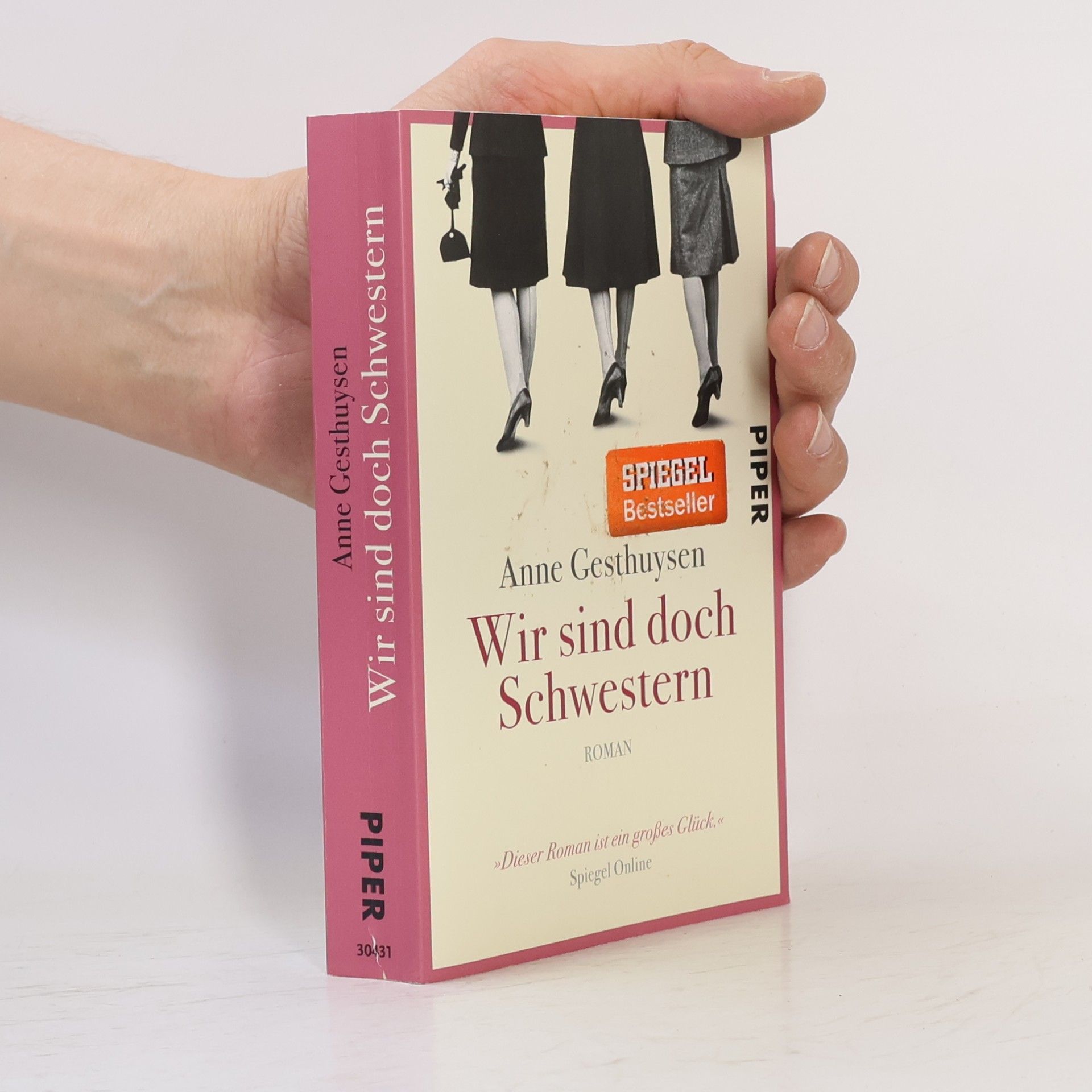 Anne Gesthuysen Wir sind doch Schwestern