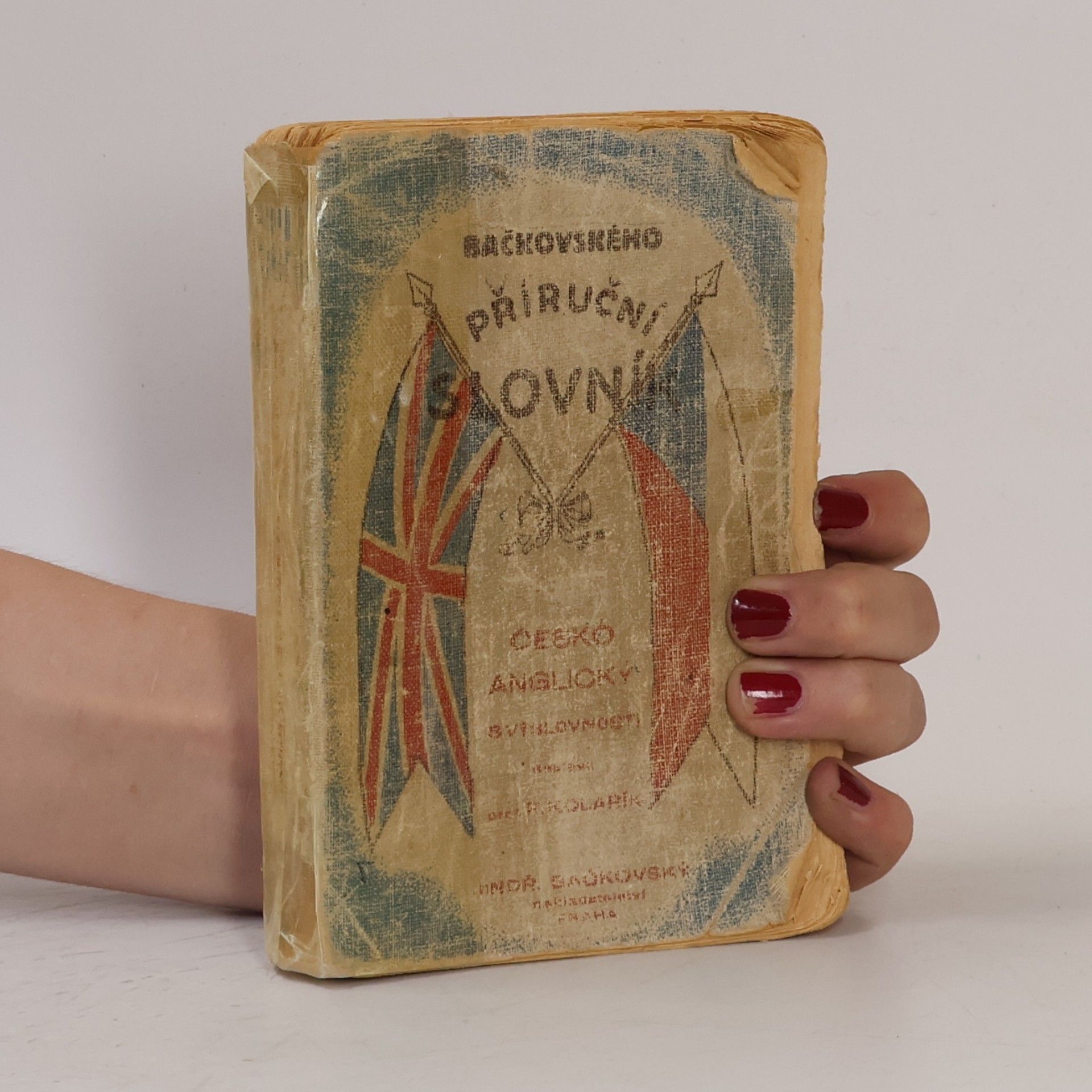 Autorenkollektiv Bačkovského příruční slovník. Česko-anglický