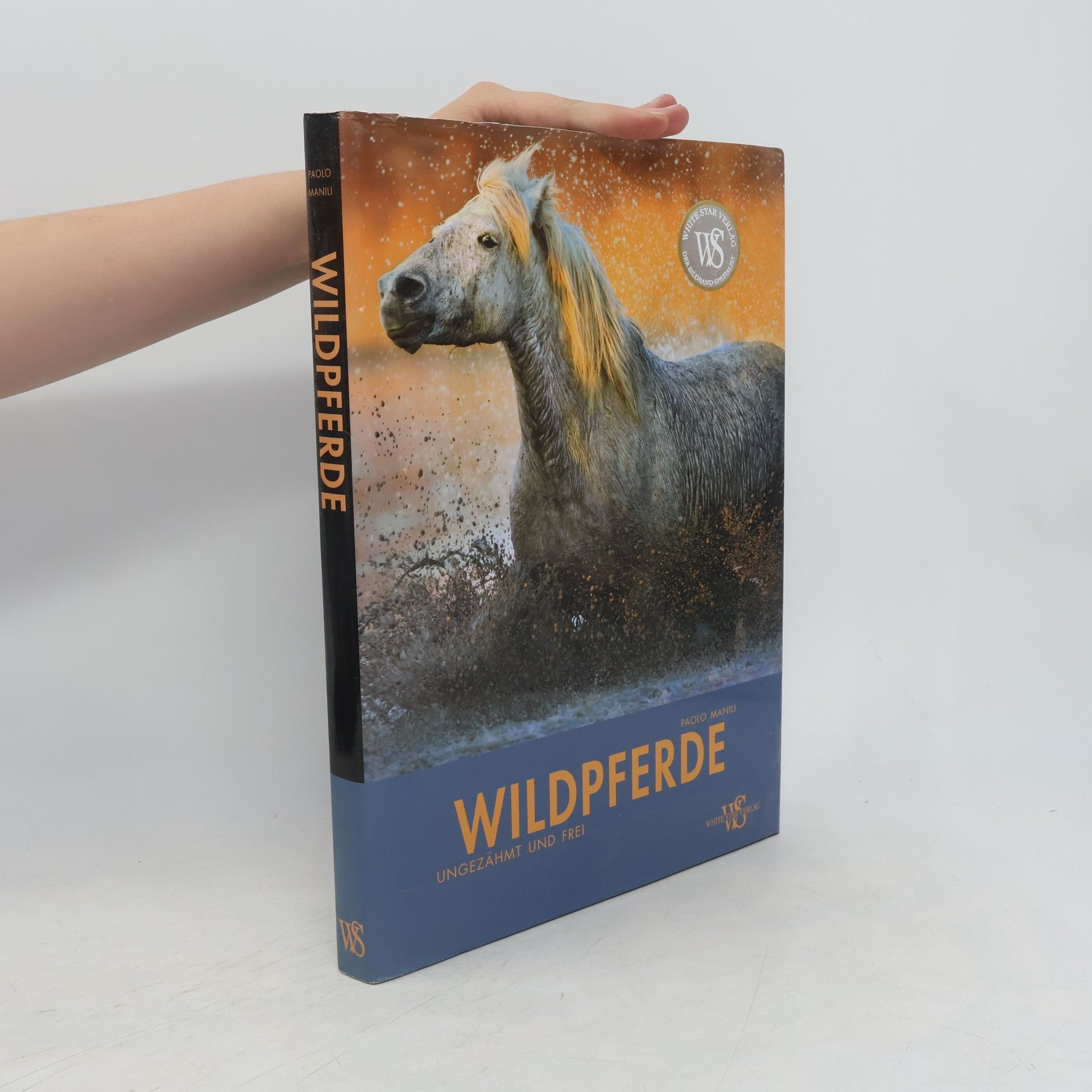 Paolo Manili Wildpferde