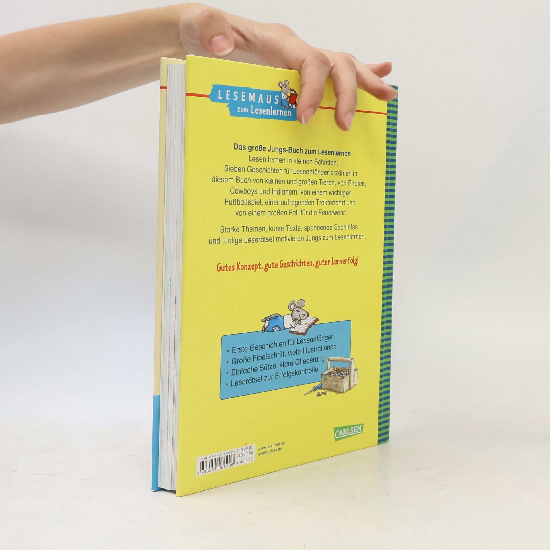 Christa Holtei Das große Jungs-Buch zum Lesenlernen