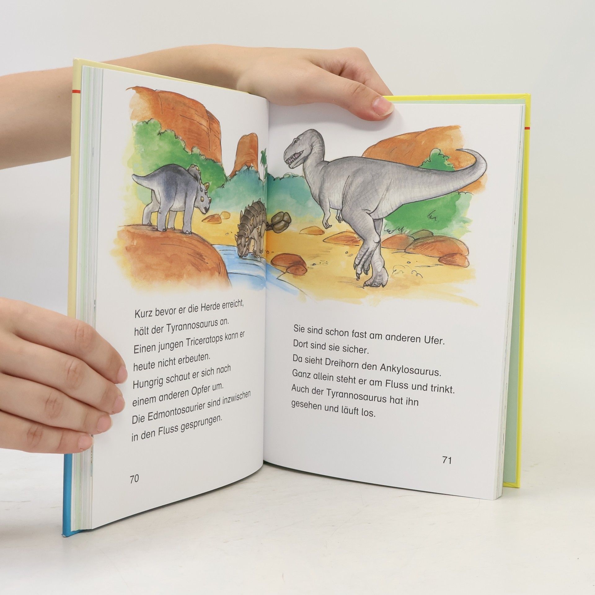 Christa Holtei Das große Jungs-Buch zum Lesenlernen
