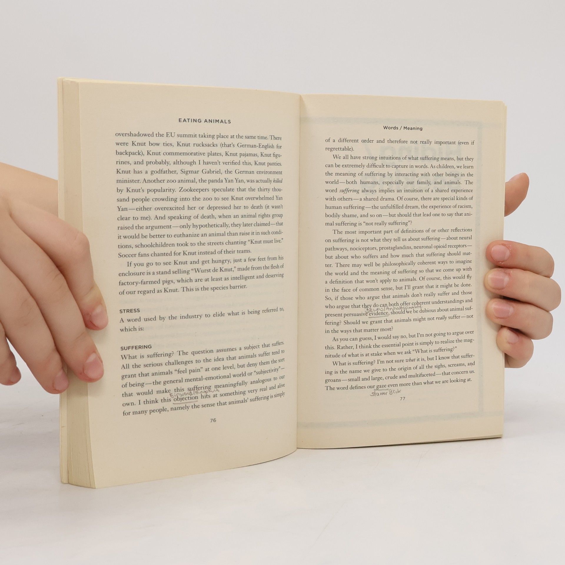 Jonathan Safran Foer Eating Animals