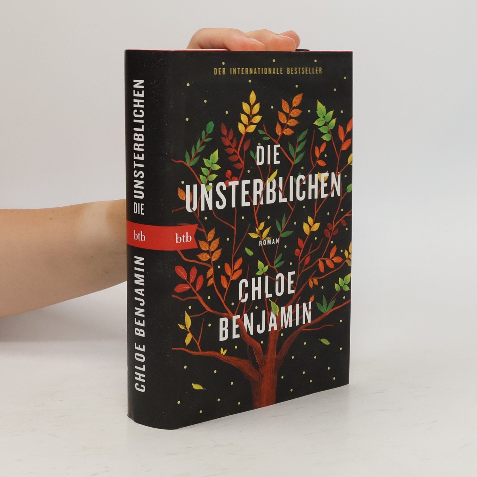 Chloe Benjamin Die Unsterblichen