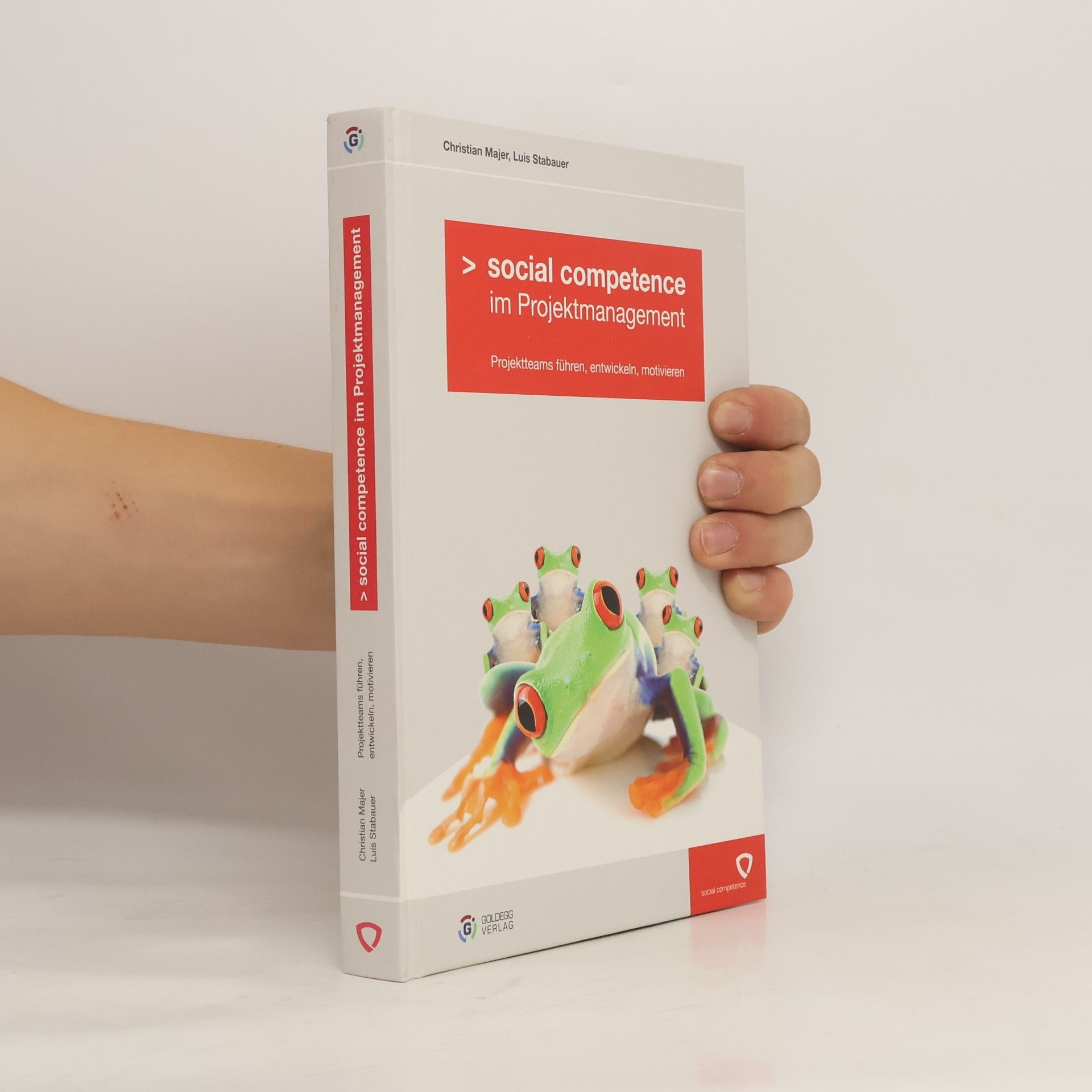 Christian Majer Social competence im Projektmanagement