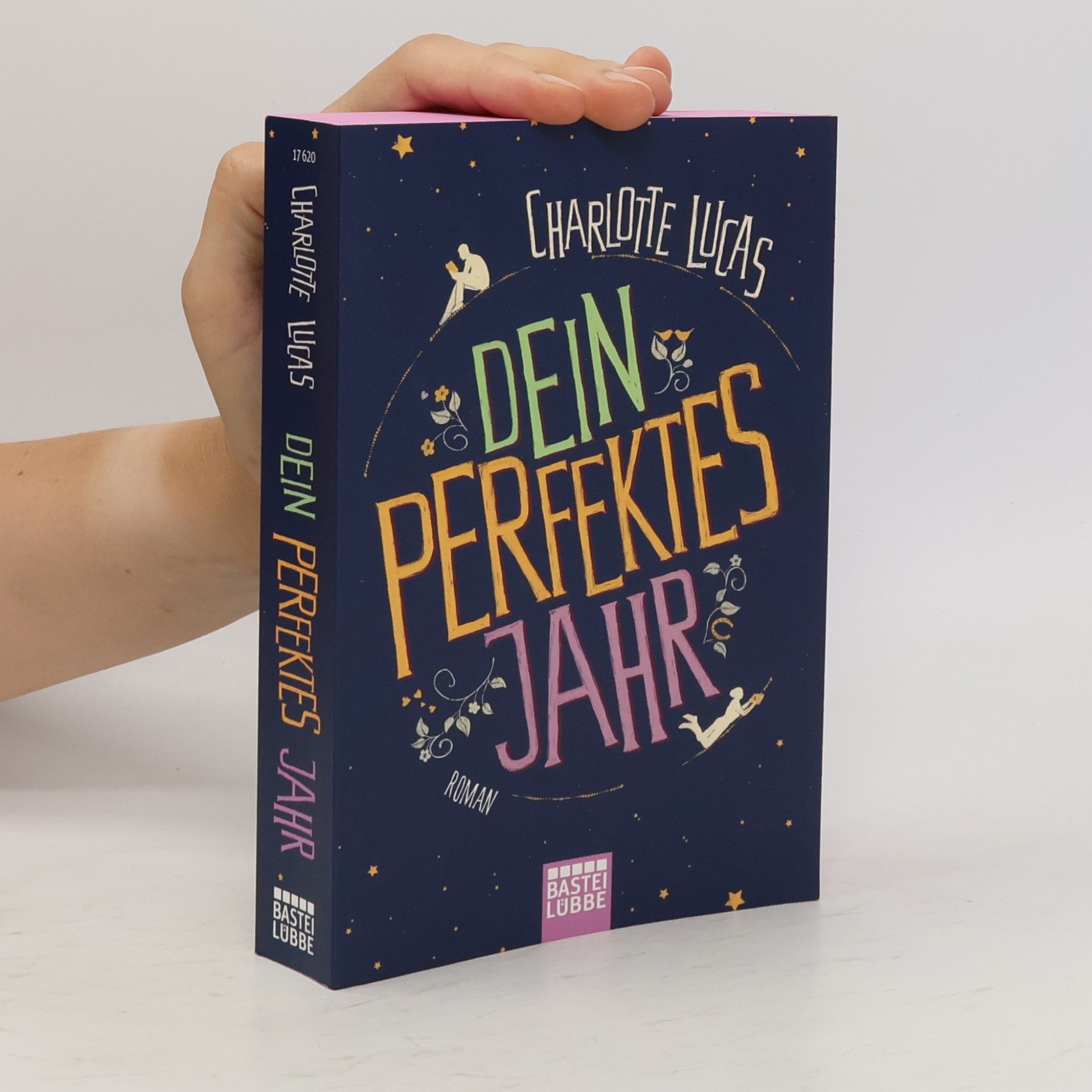 Charlotte Lucas Dein perfektes Jahr