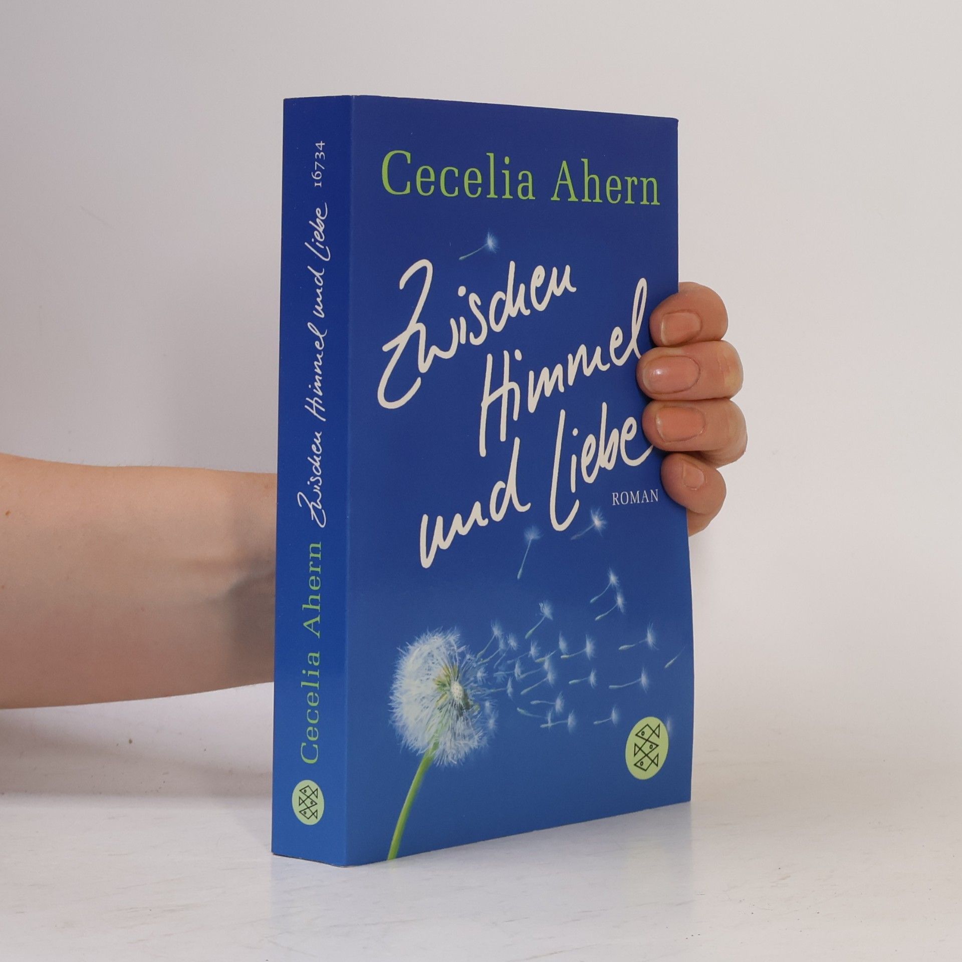 Cecelia Ahern Zwischen Himmel und Liebe