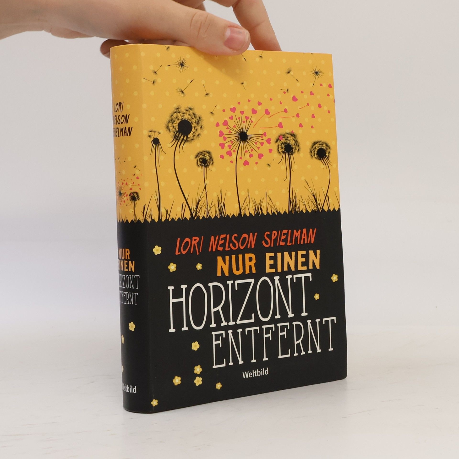 Lori Nelson Spielman Nur einen Horizont entfernt