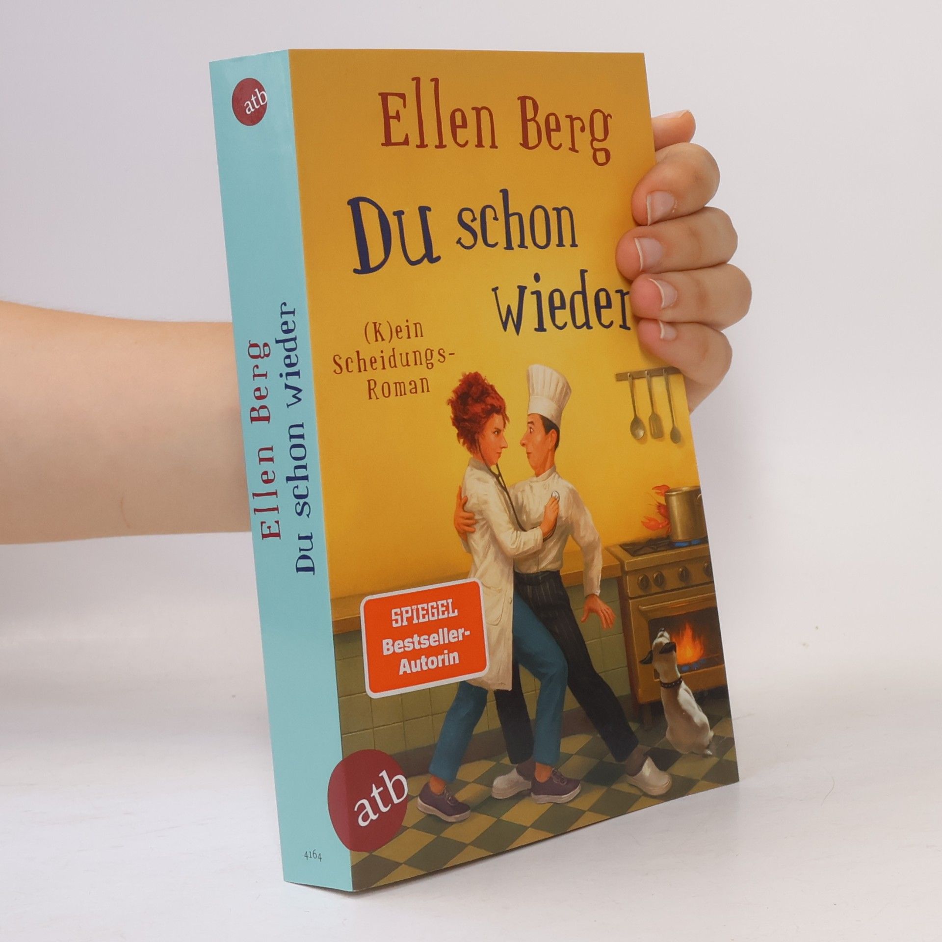 Ellen Berg Du schon wieder: (K)ein Scheidungs-Roman