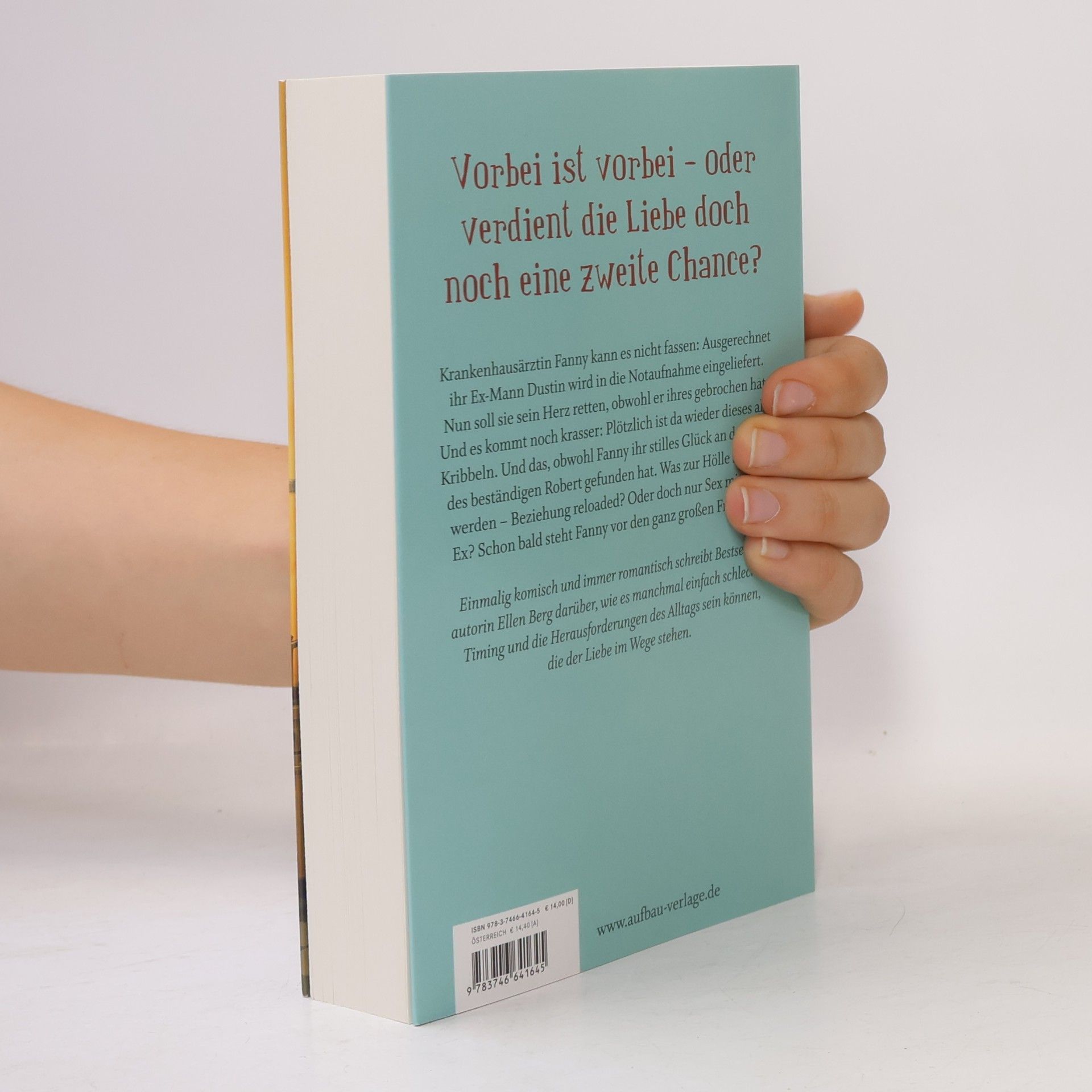Ellen Berg Du schon wieder: (K)ein Scheidungs-Roman