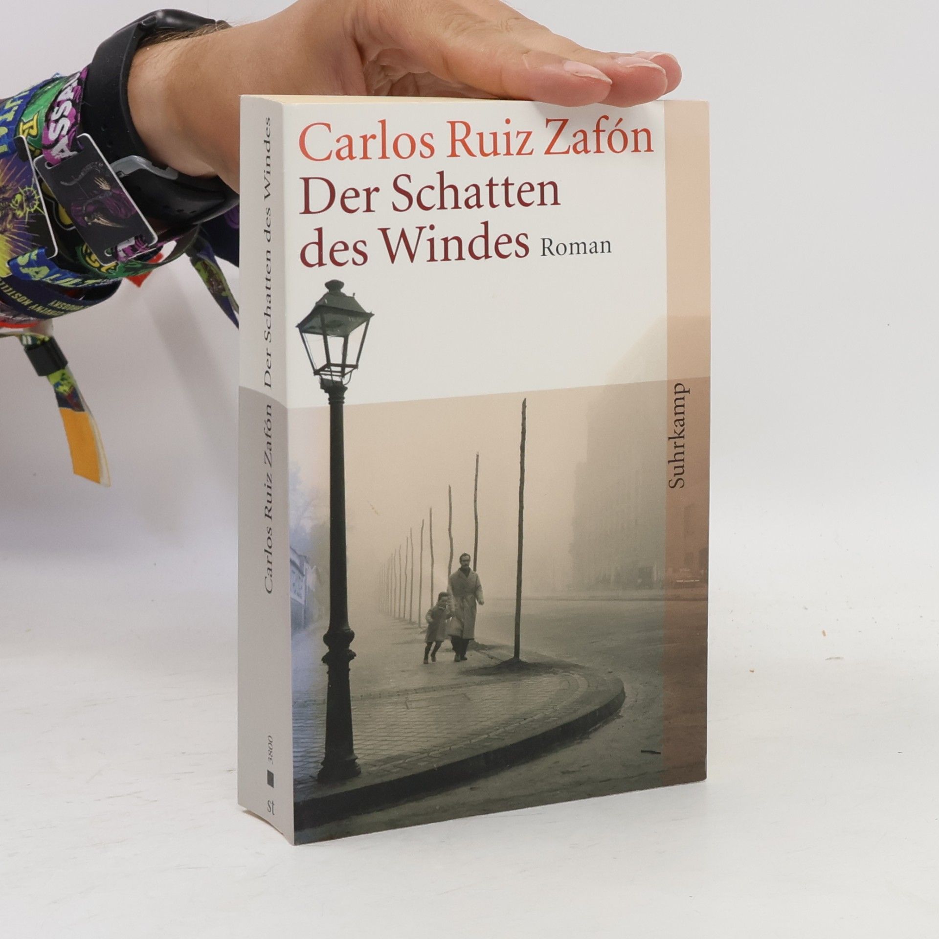 Carlos Ruiz Zafón Der Schatten des Windes