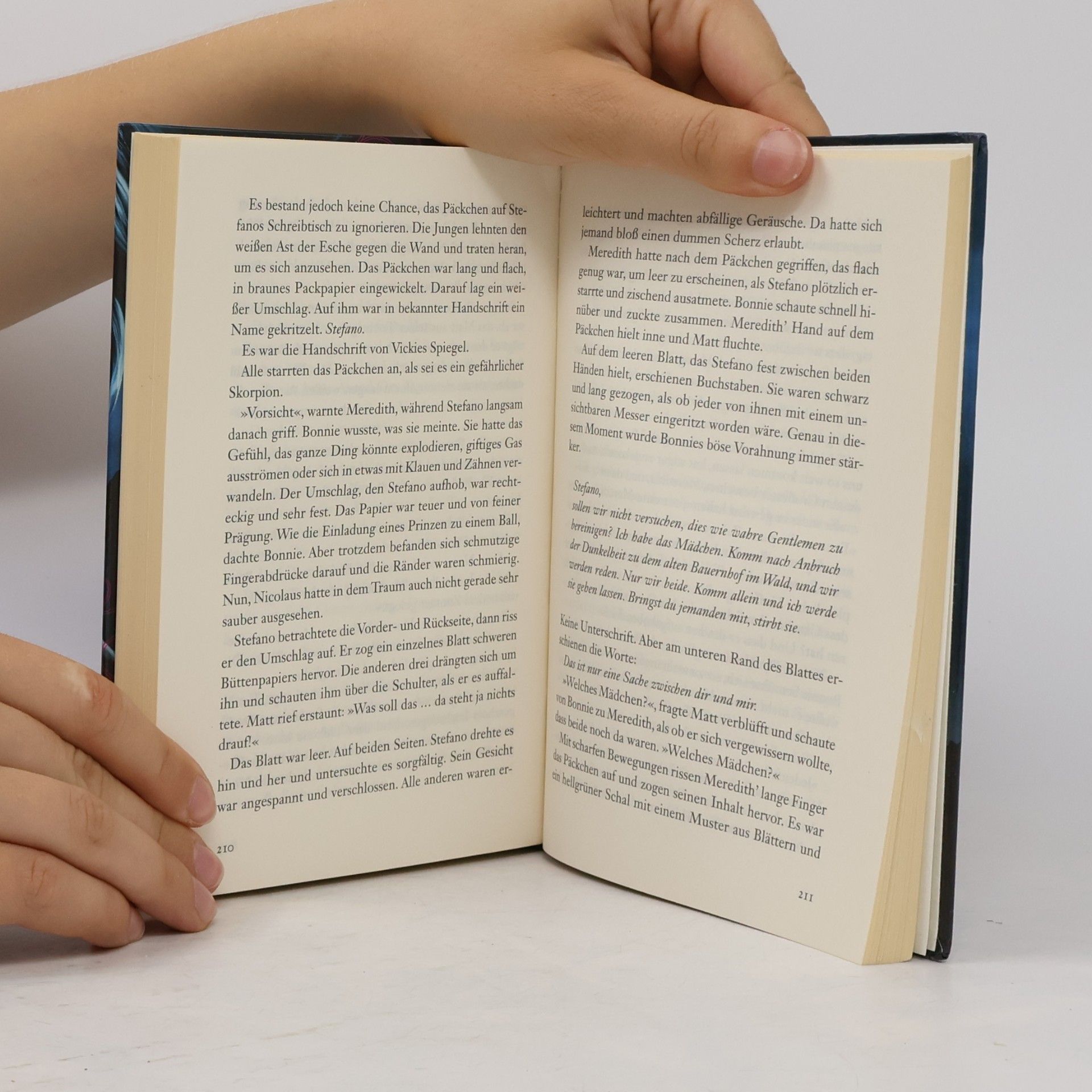 L. J. Smithová  Tagebuch eines Vampirs 4. In der Schattenwelt