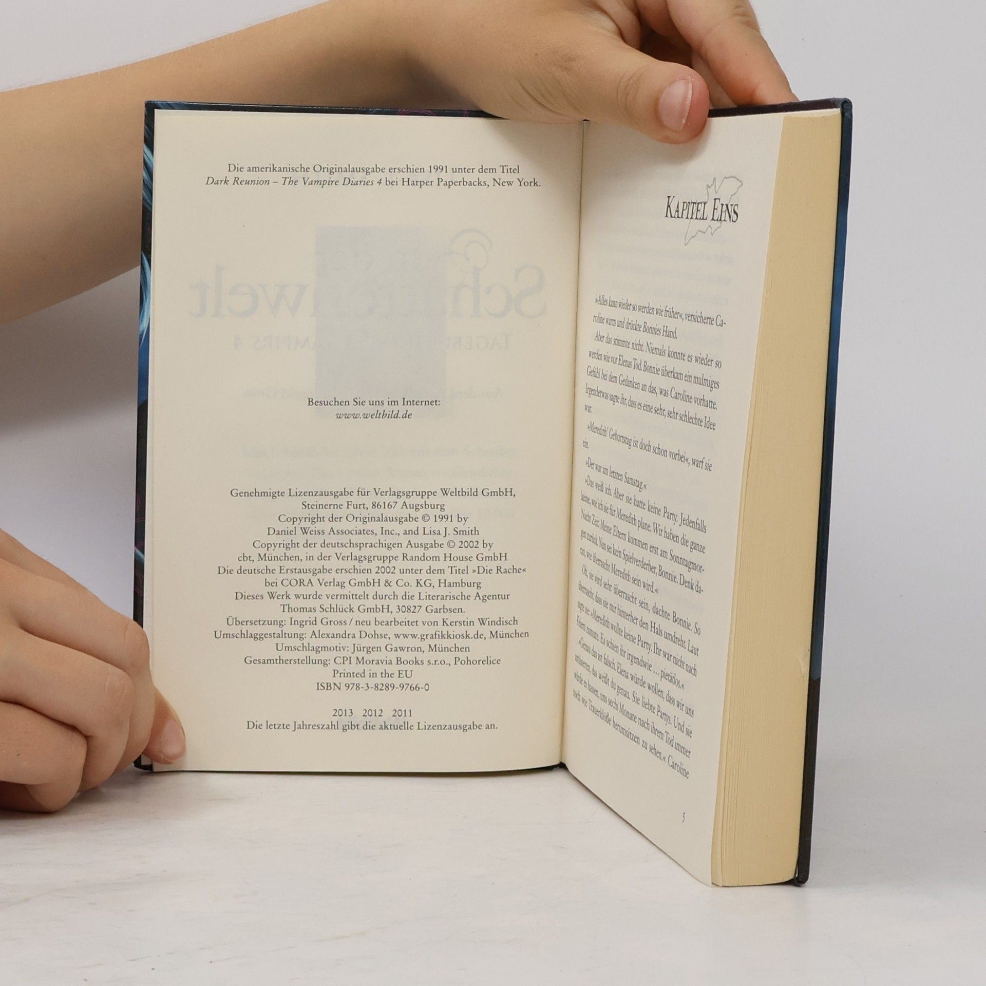 L. J. Smithová  Tagebuch eines Vampirs 4. In der Schattenwelt