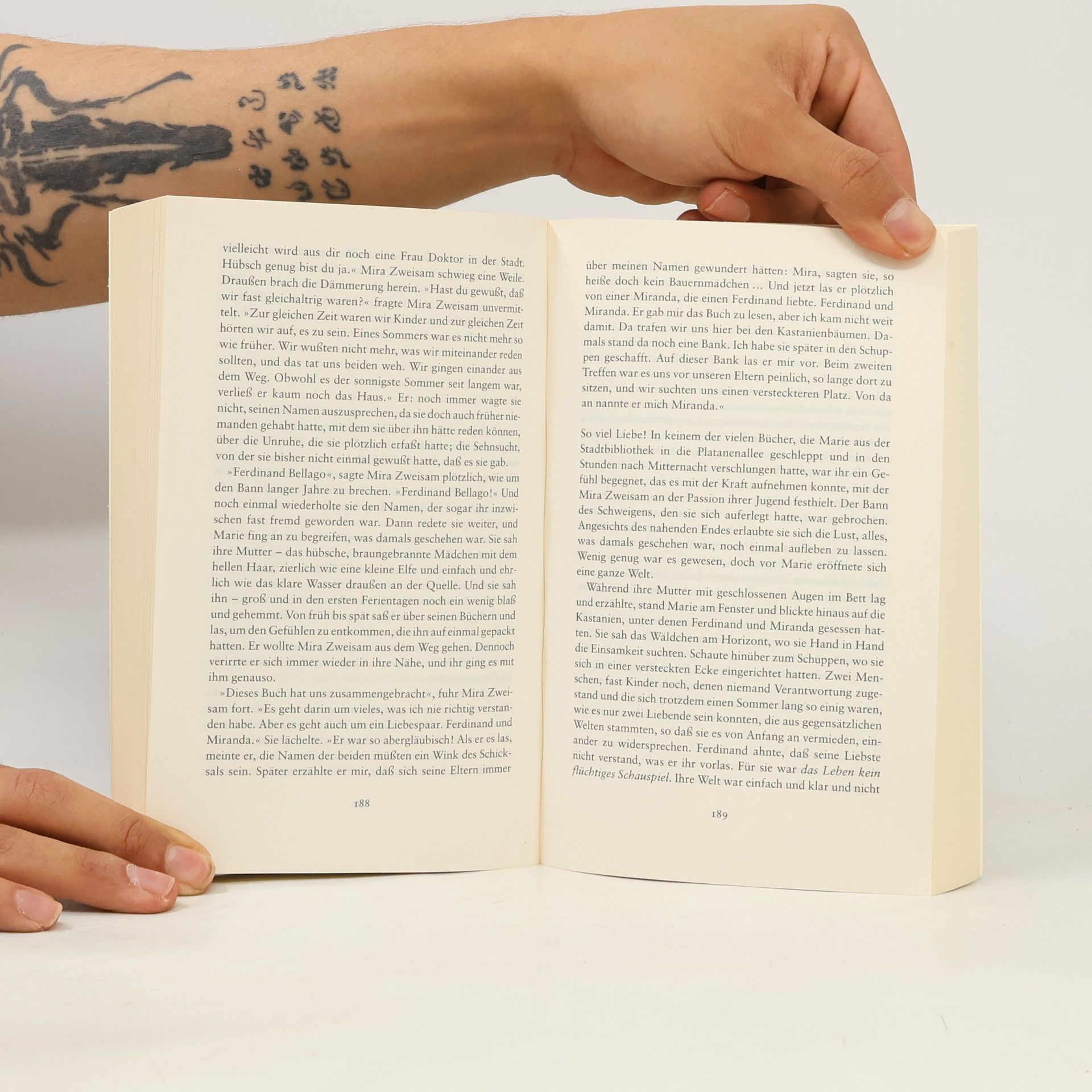 Rosemarie Marschner Das Bücherzimmer