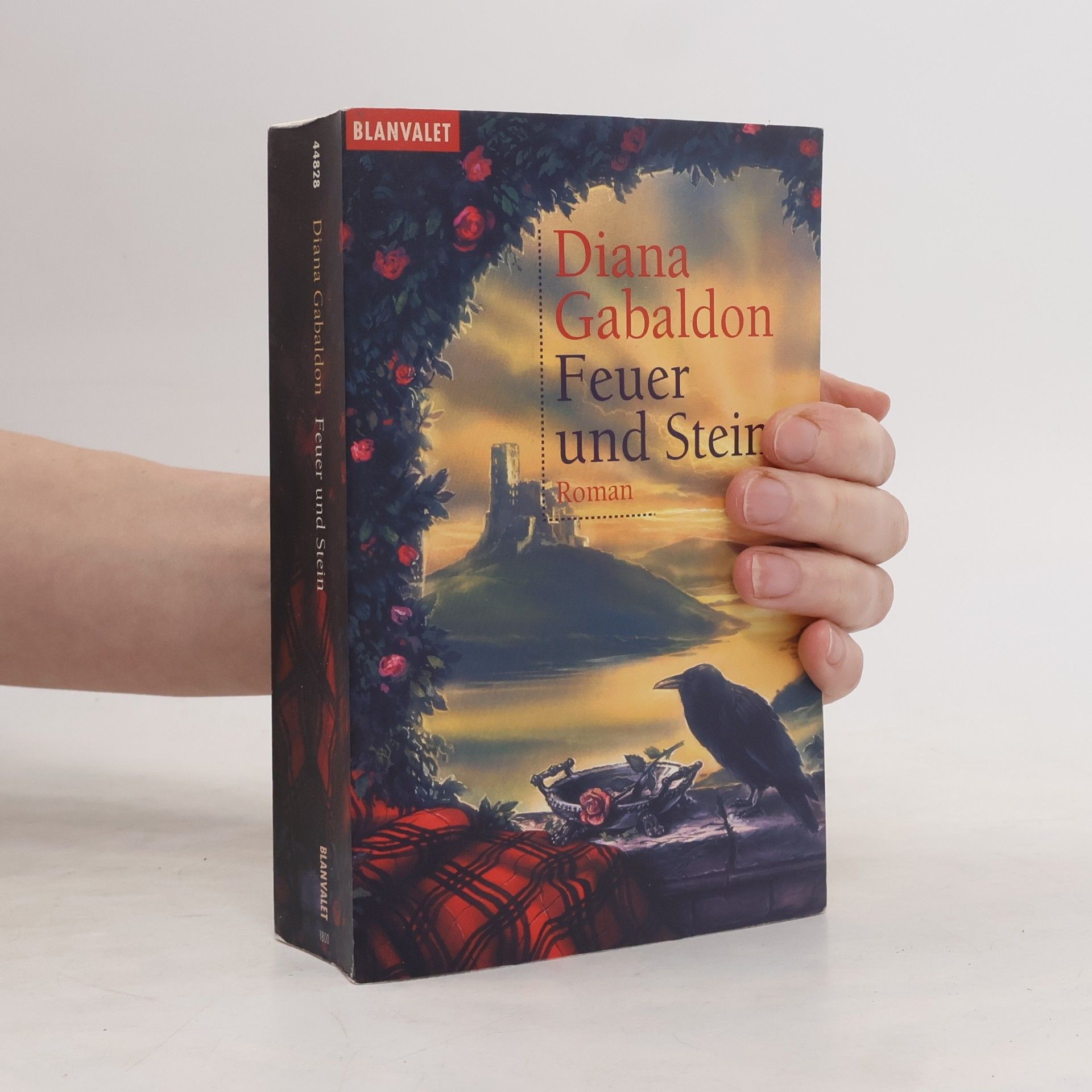 Diana Gabaldon Feuer und Stein