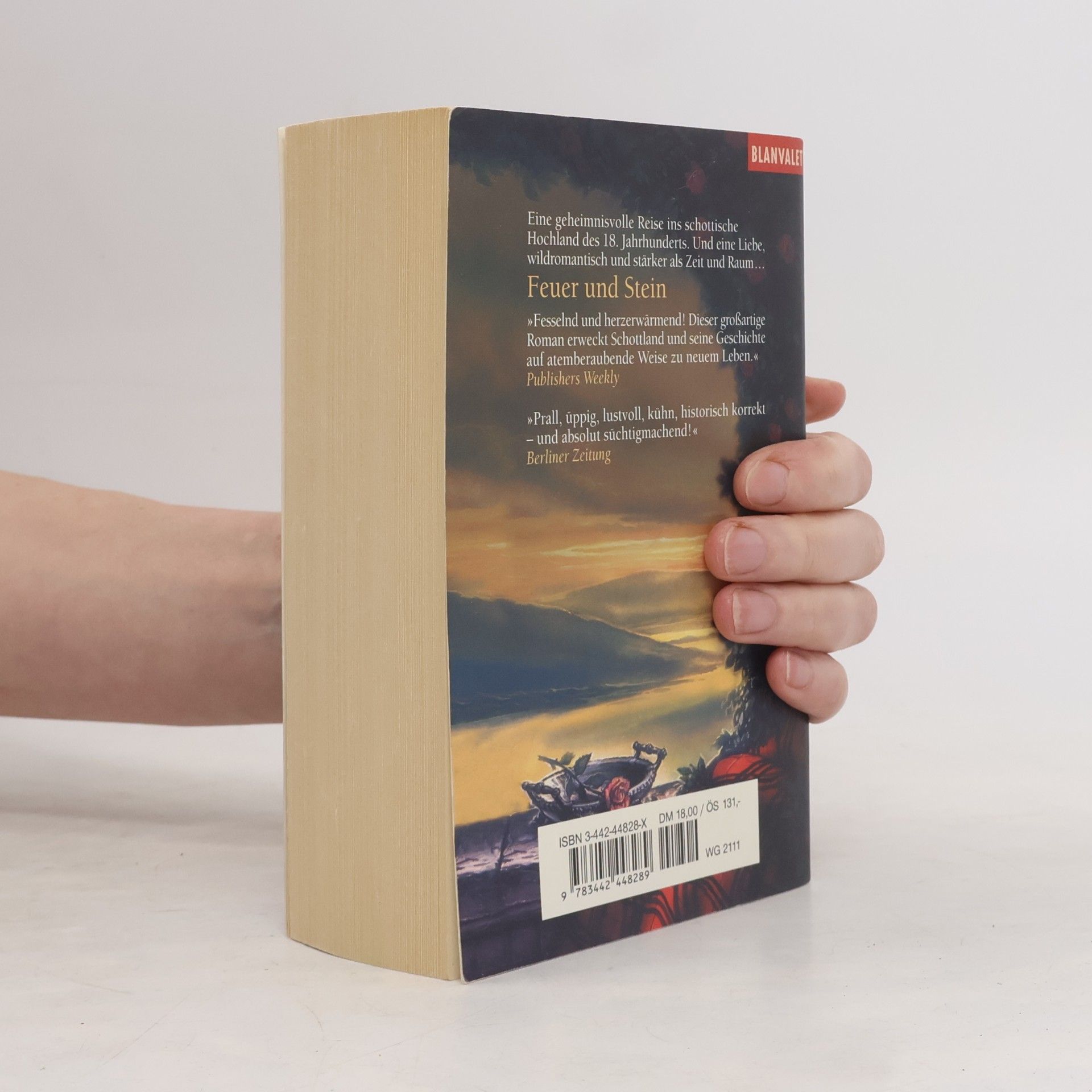 Diana Gabaldon Feuer und Stein