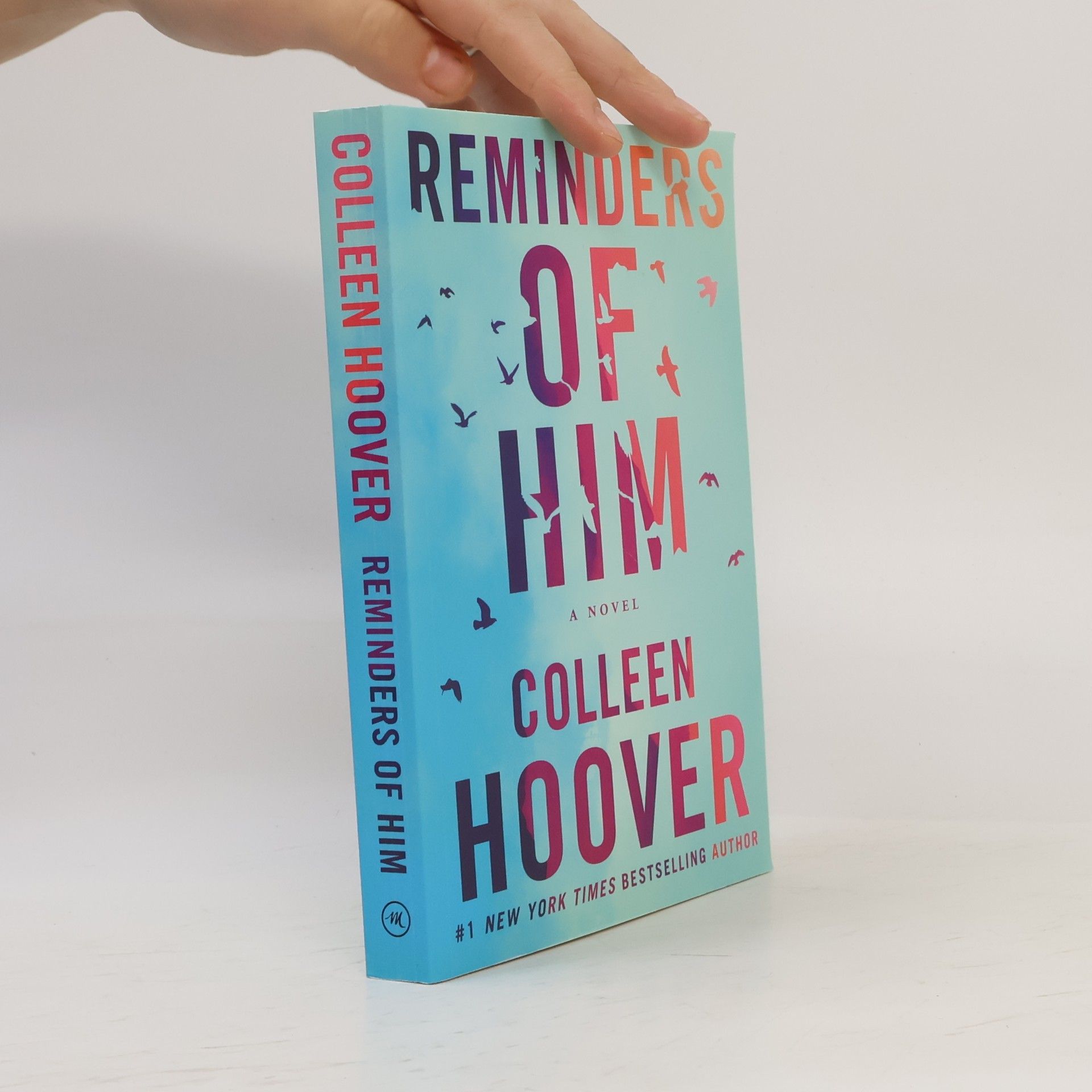 Colleen Hoover Reminders of him