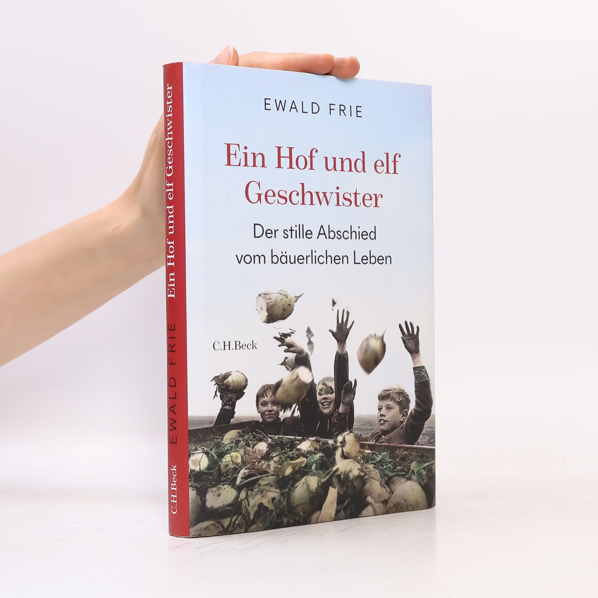 Ewald Frie Ein Hof und elf Geschwister
