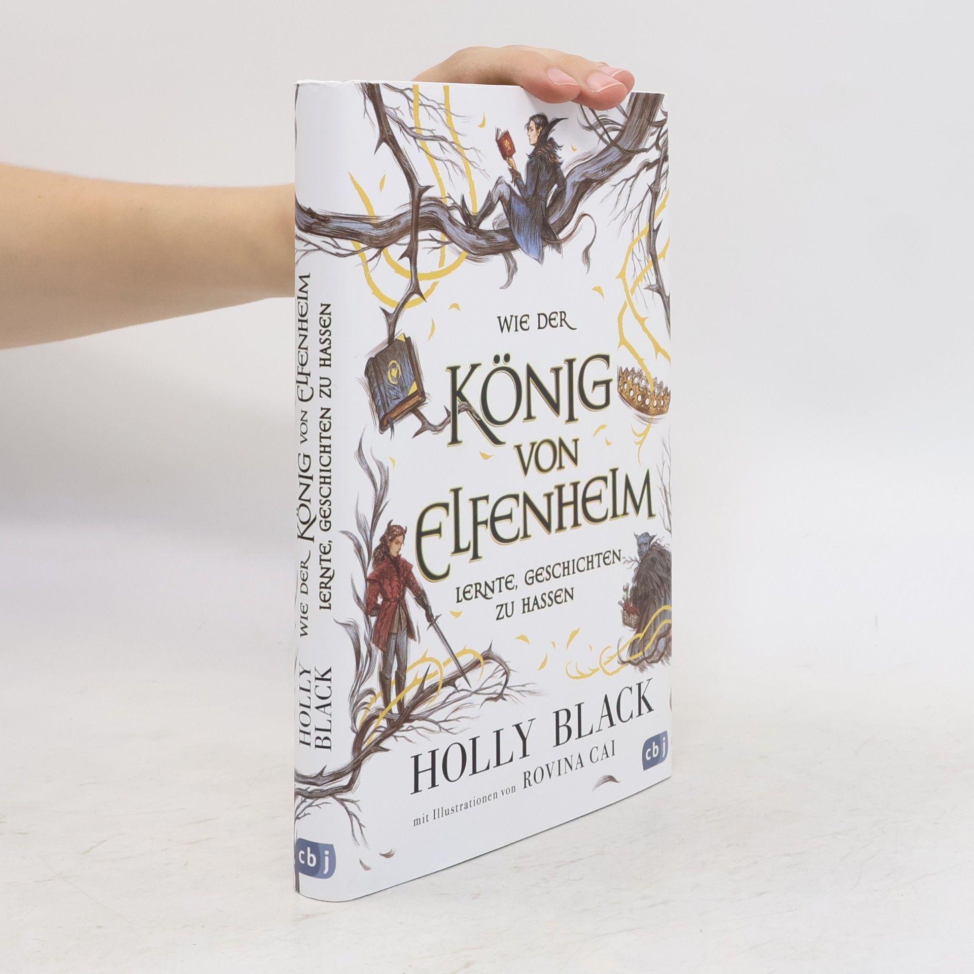Holly Black Wie der König von Elfenheim lernte, Geschichten zu hassen