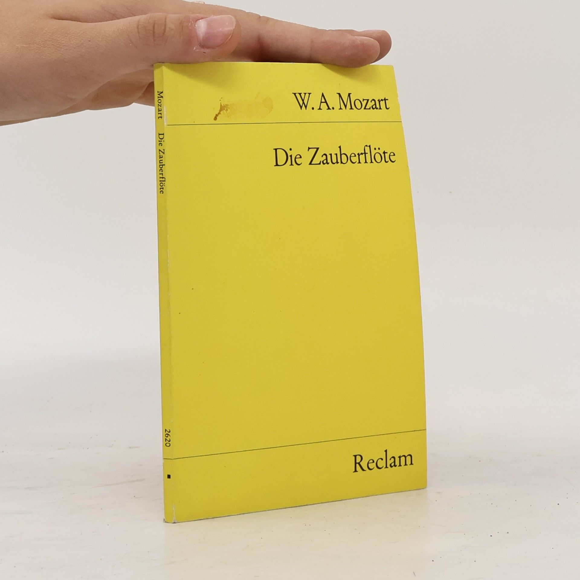 Collectif d'auteurs Anleitung zur Abfassung literaturwissenschaftlicher Arbeiten
