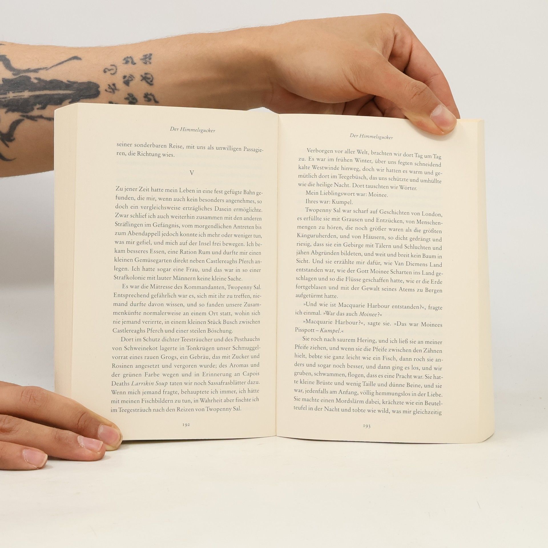 Richard Flanagan Goulds Buch der Fische