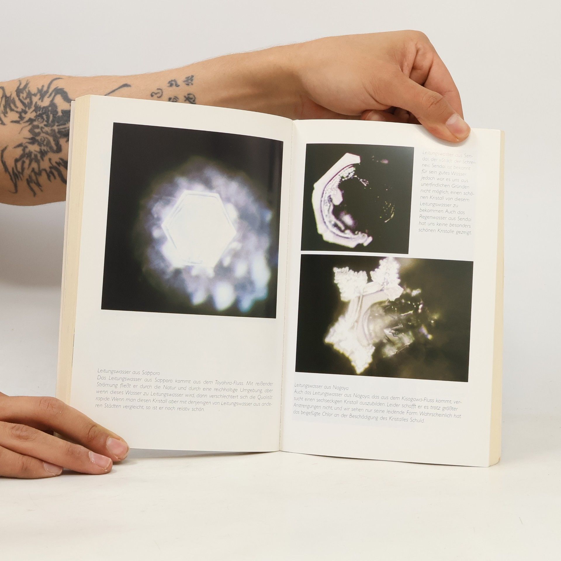 Masaru Emoto Wasserkristalle