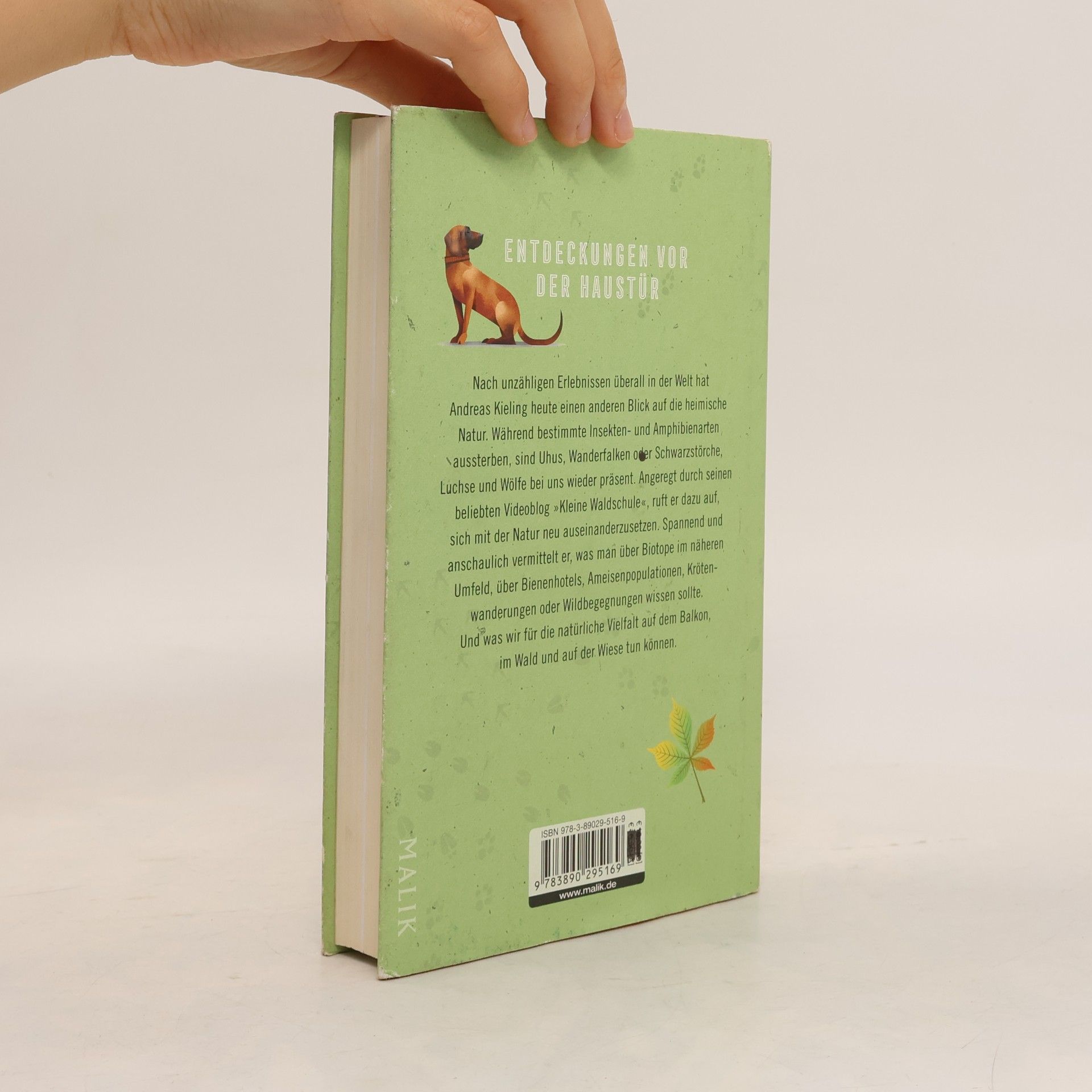 Andreas Kieling Kielings kleine Waldschule