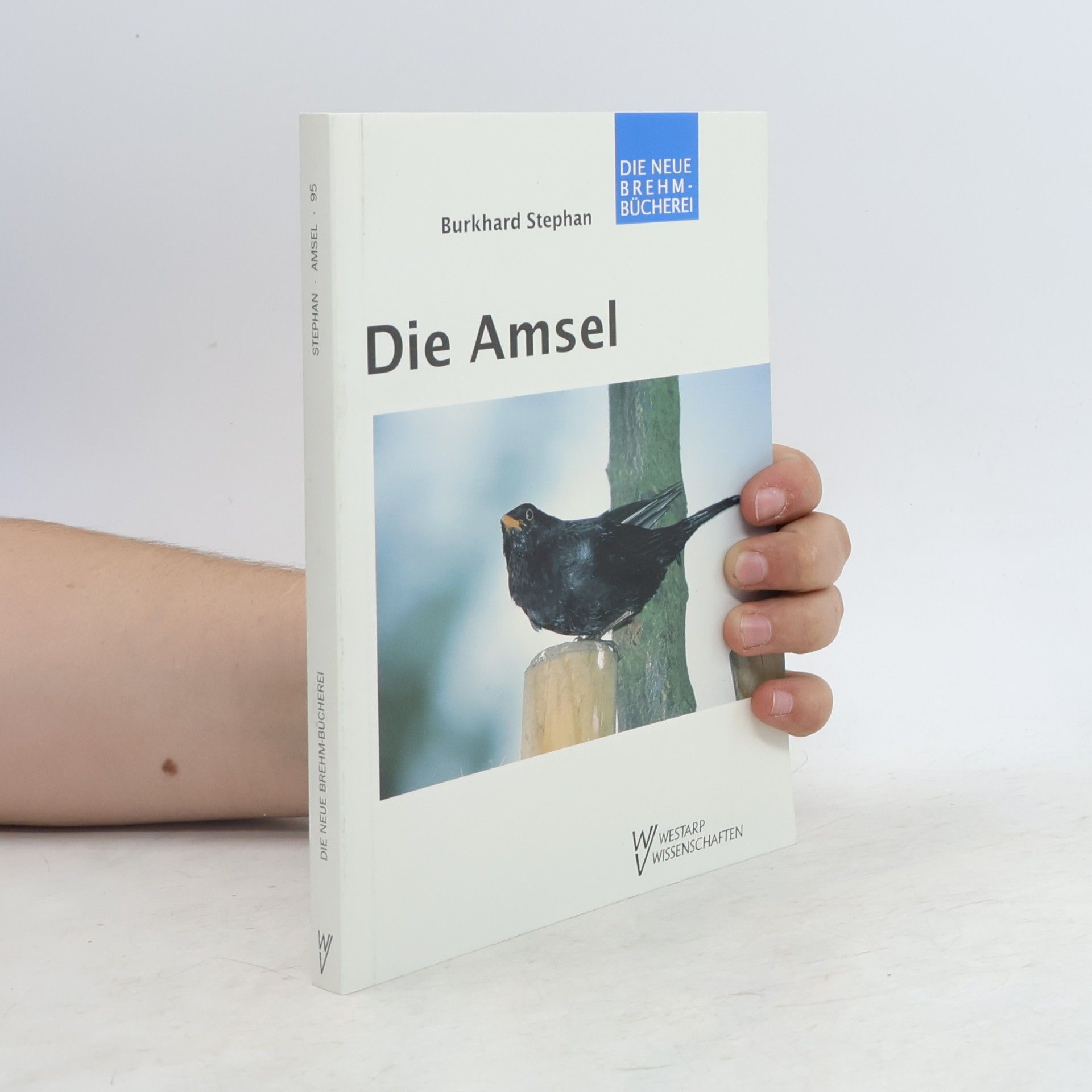 Burkhard Stephan Die Amsel