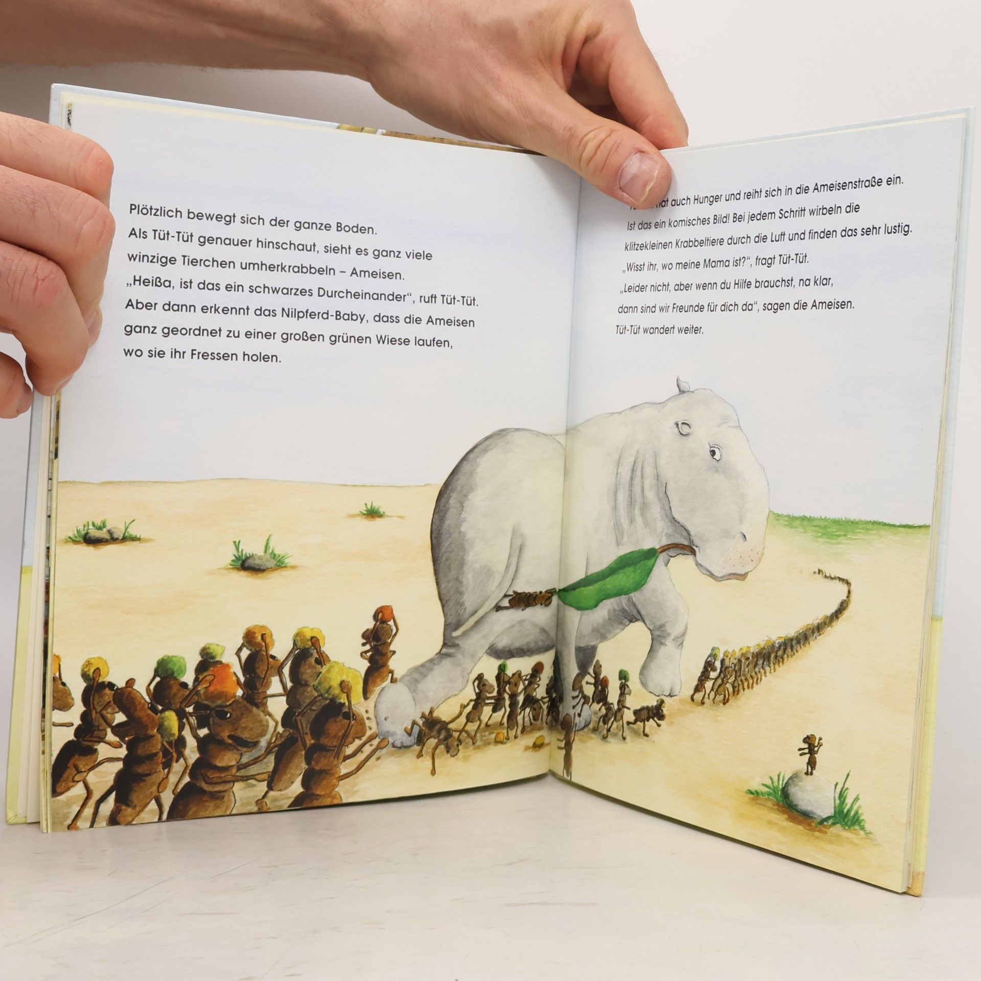 Christian Pletz Tüt-Tüt, das kleine Nilpferd