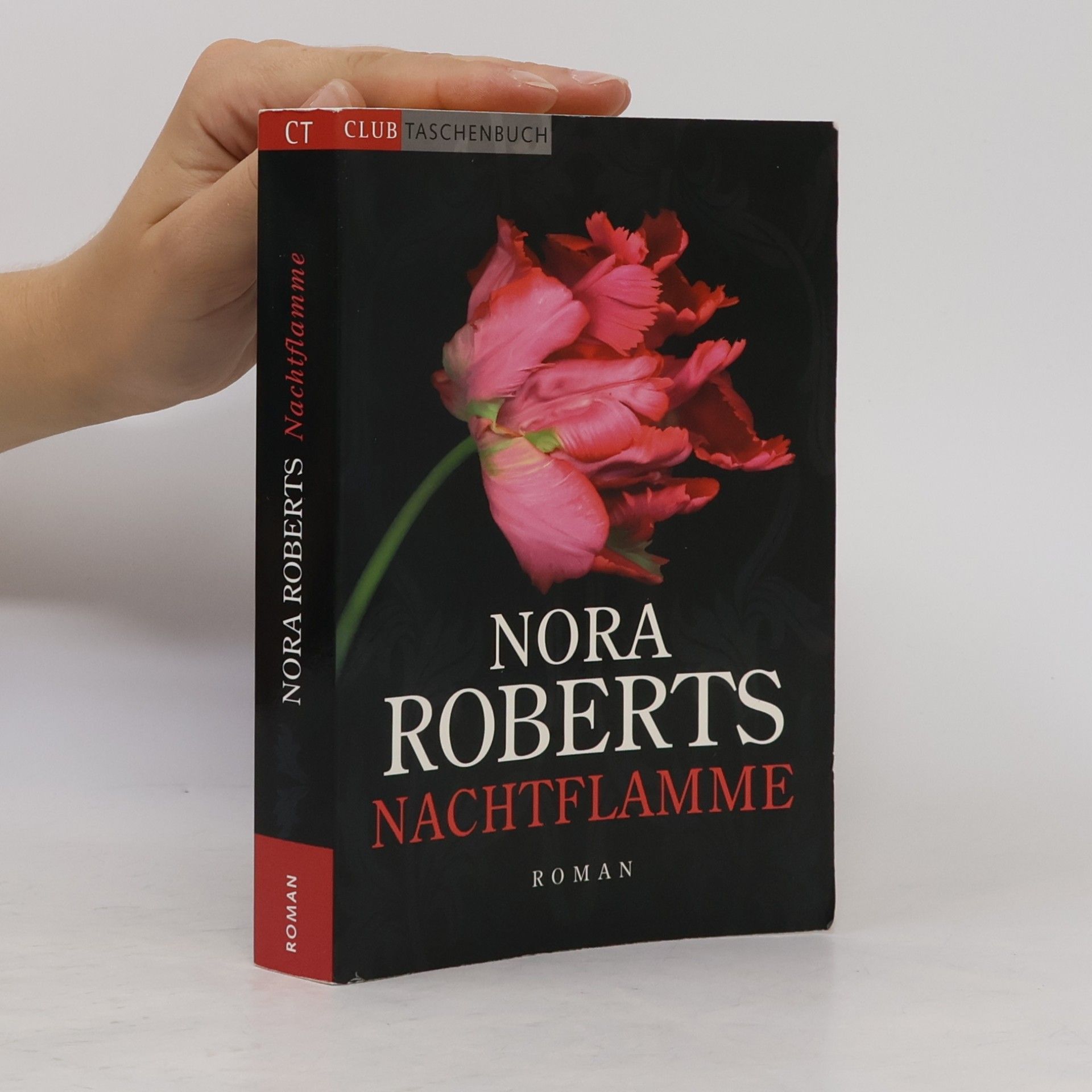 Nora Roberts Nachtflamme