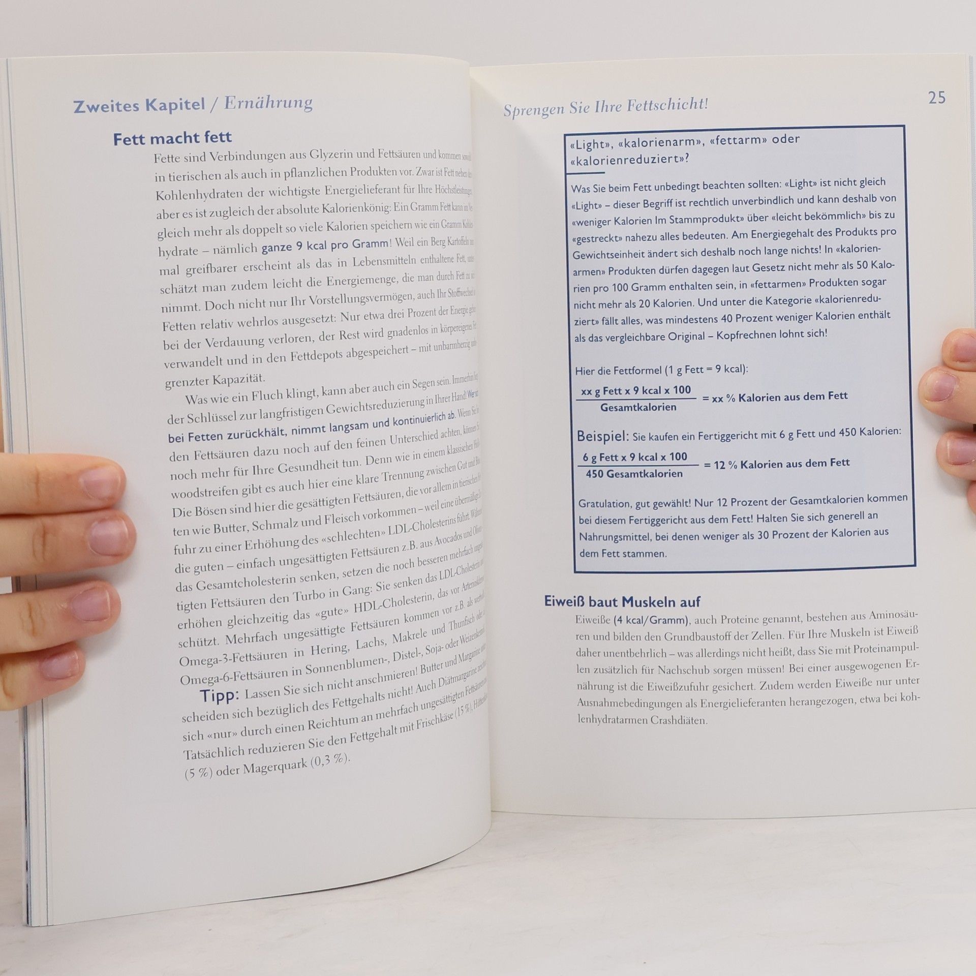 Thorsten Tschirner Das Bauchmuskelbuch