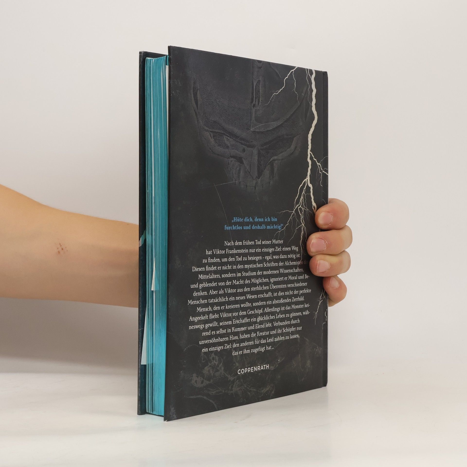 Mary Shelley Frankenstein – Illustrierte Schmuckausgabe