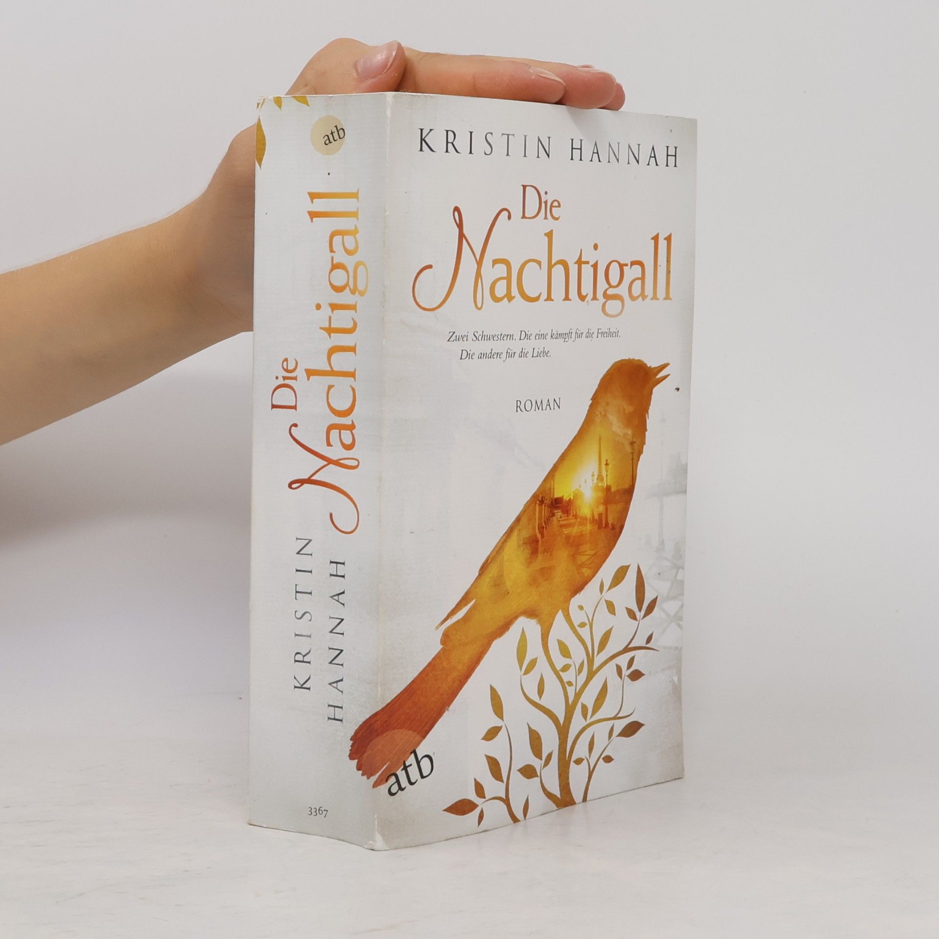 Kristin Hannah Die Nachtigall